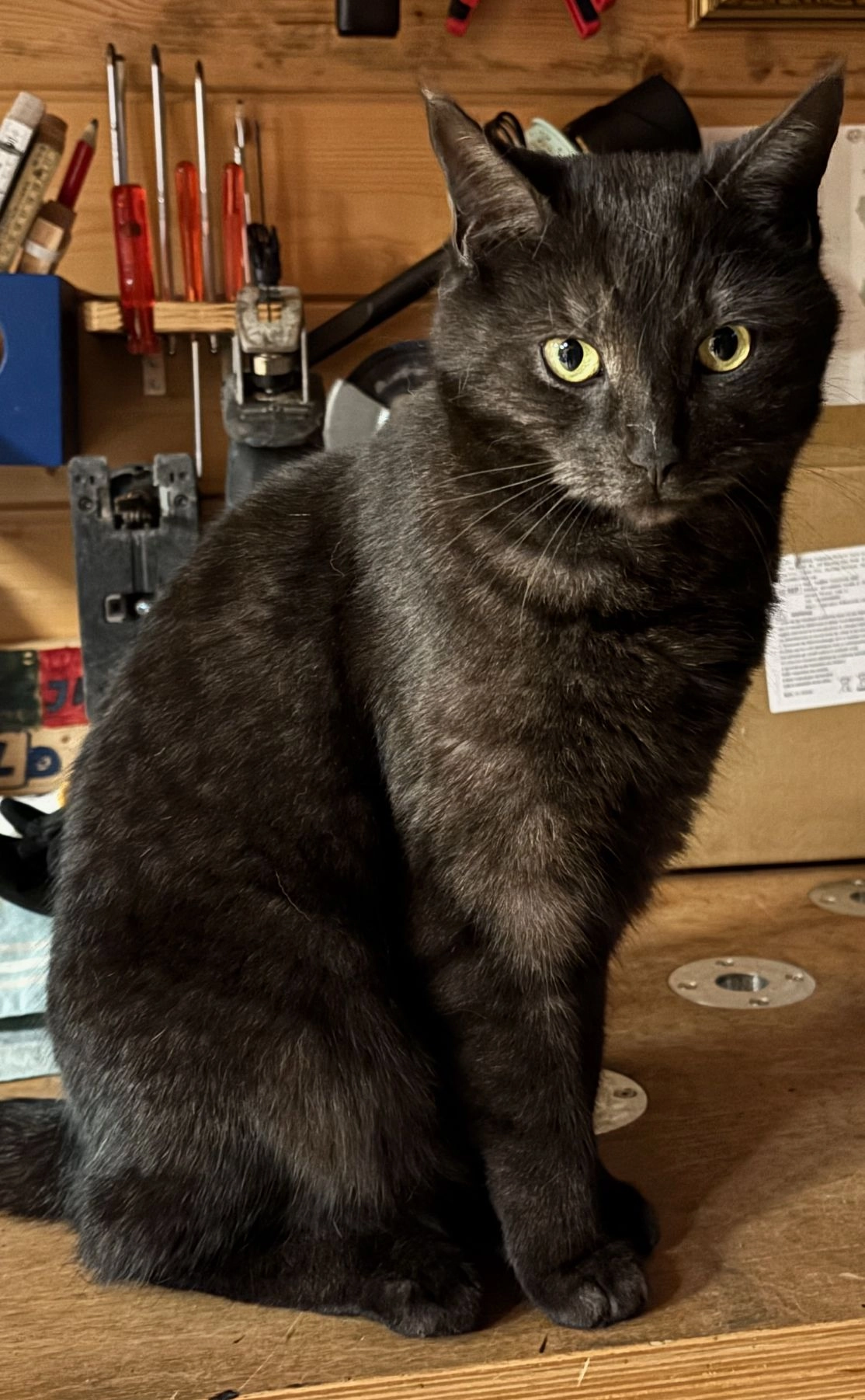 Isidor - Reiter Straße, Haag in Oberbayern