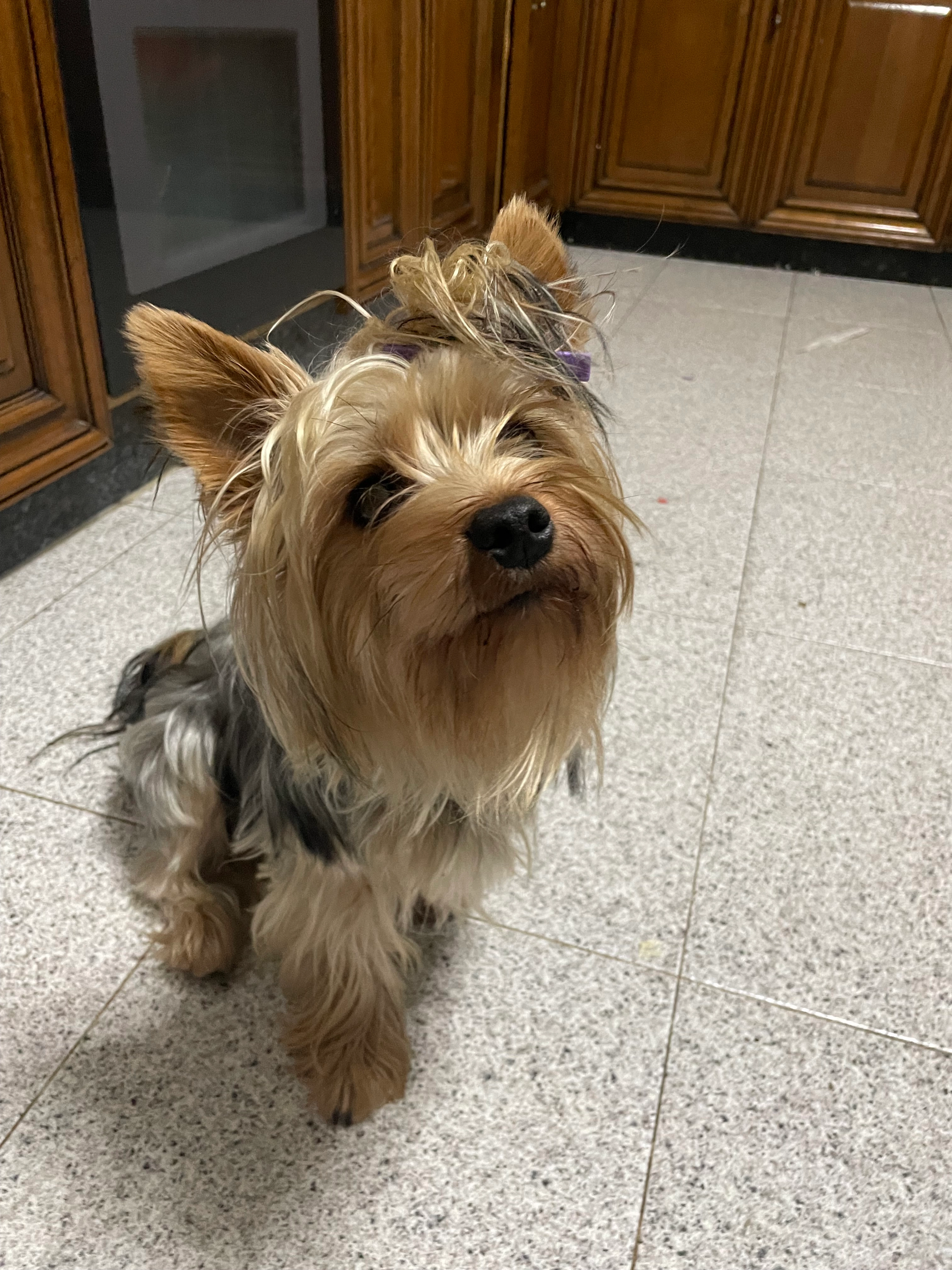 Max  - Rúa De Gumersindo Areán, Rodeiro