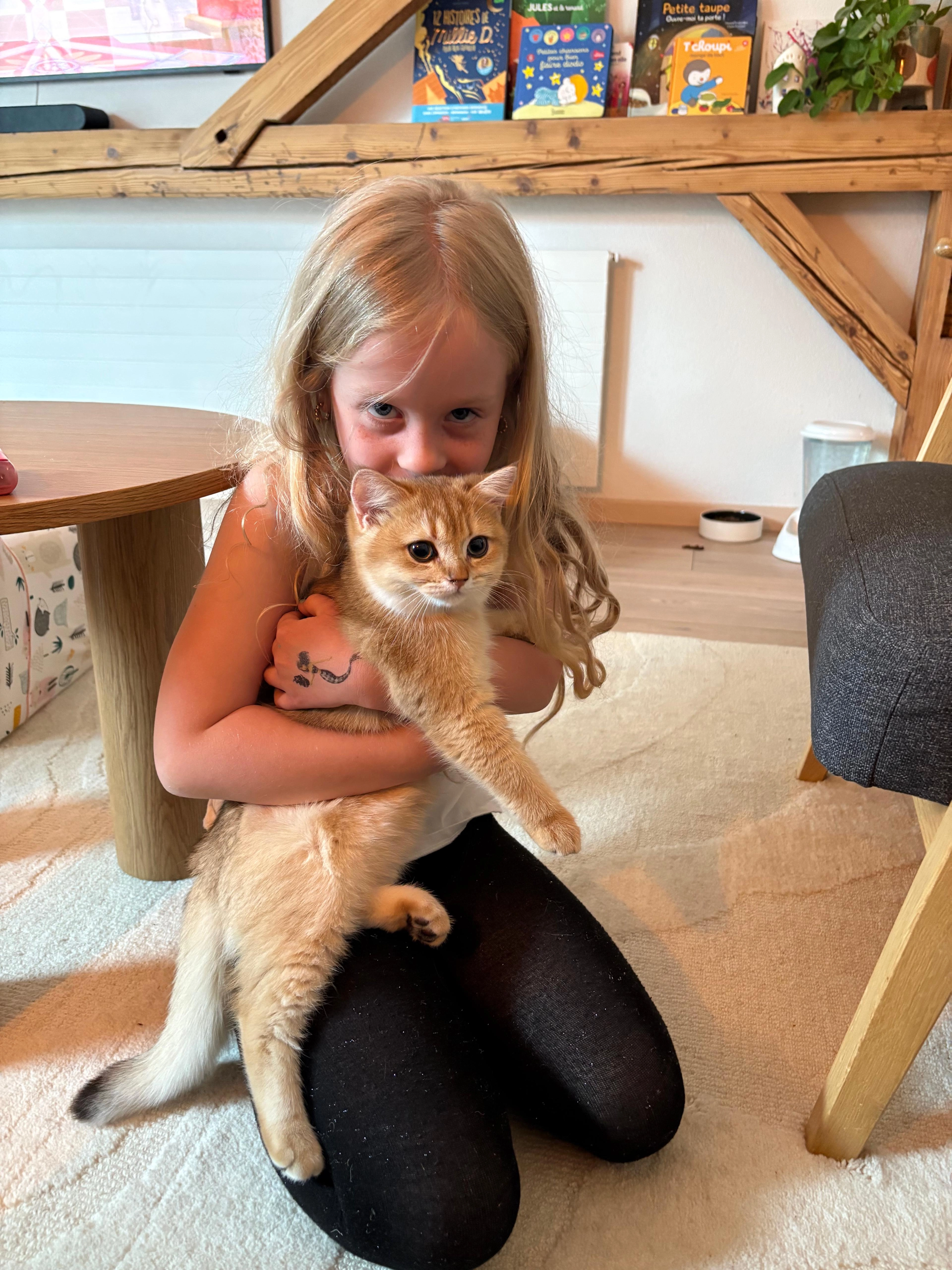 Goliath - Route Du Jorat, Lausanne