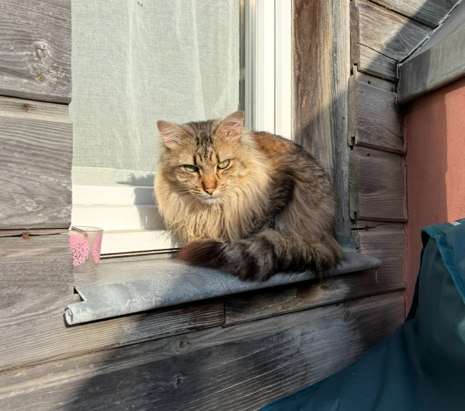 Meïko - Rue du Palais, La Rochelle