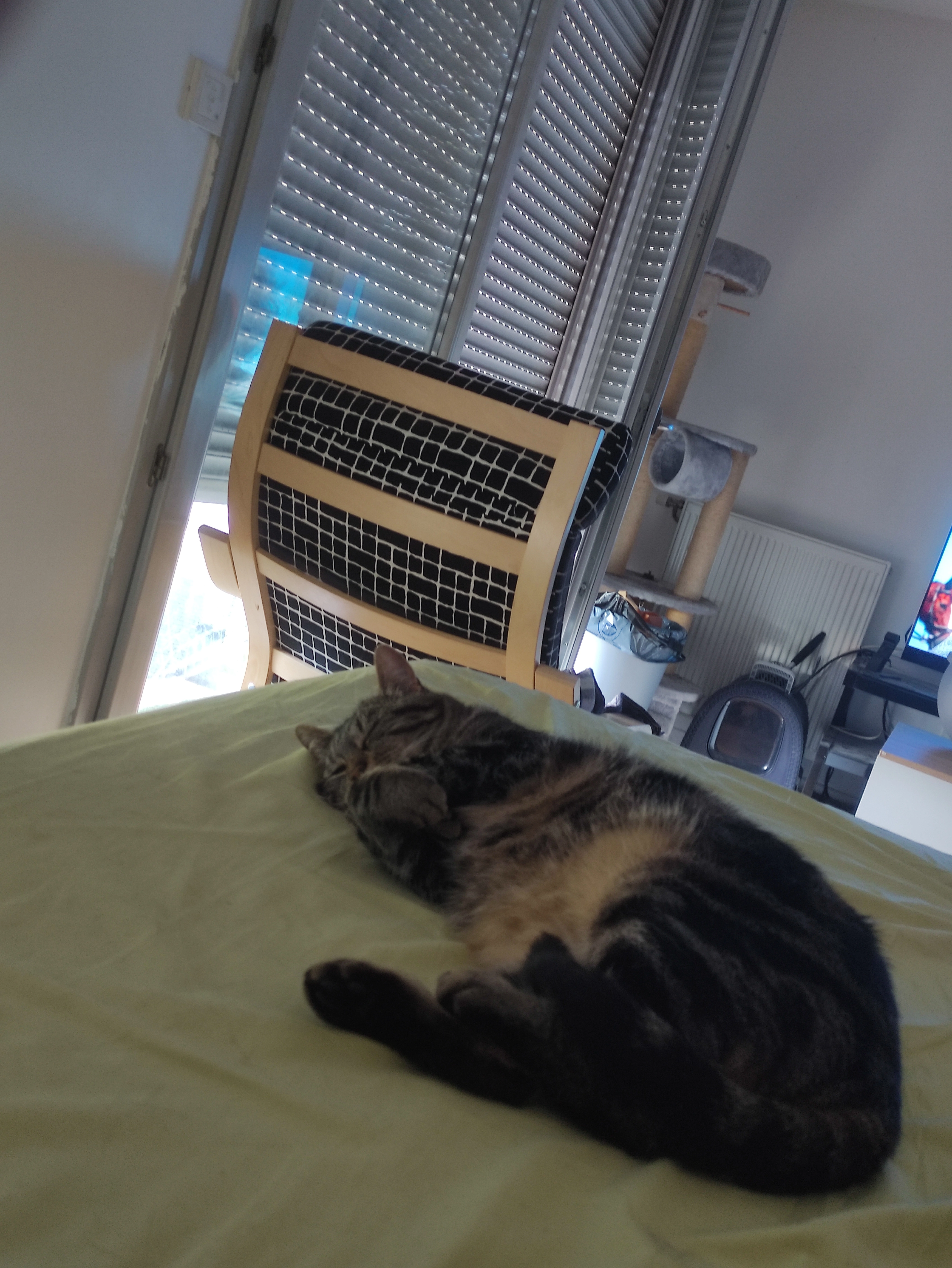 matcha - 4 Allée du Docteur Monod, Brie-Comte-Robert