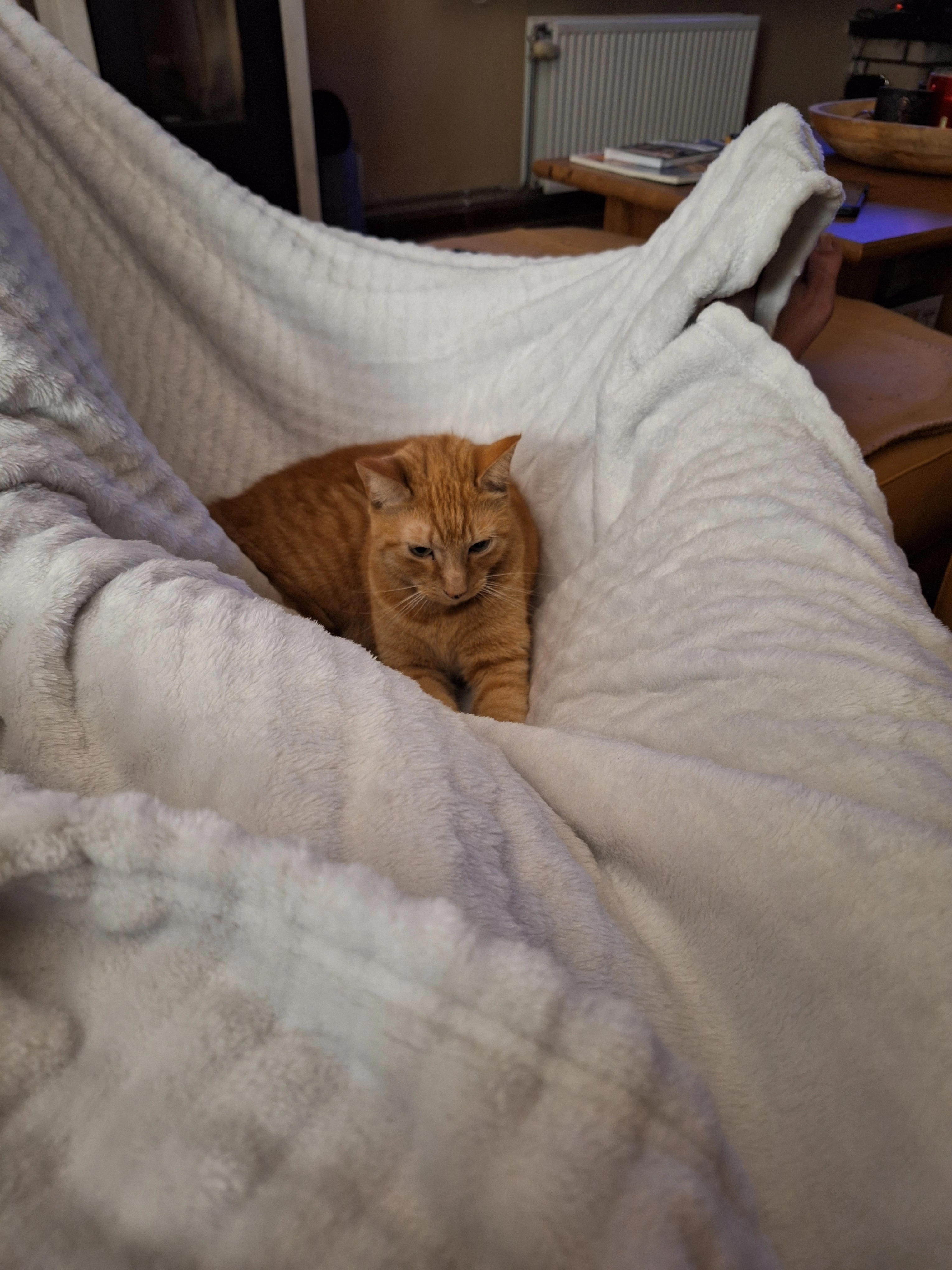 Berlioz - Rue du Tumulus 8, Jodoigne