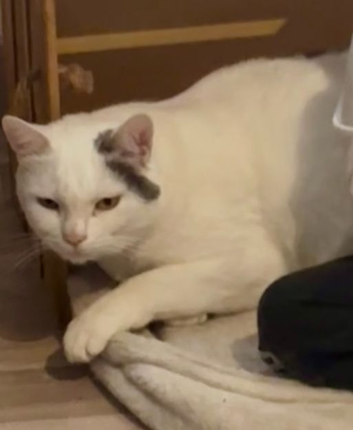 Pinceau - Rue du Grand Clos, Poussay