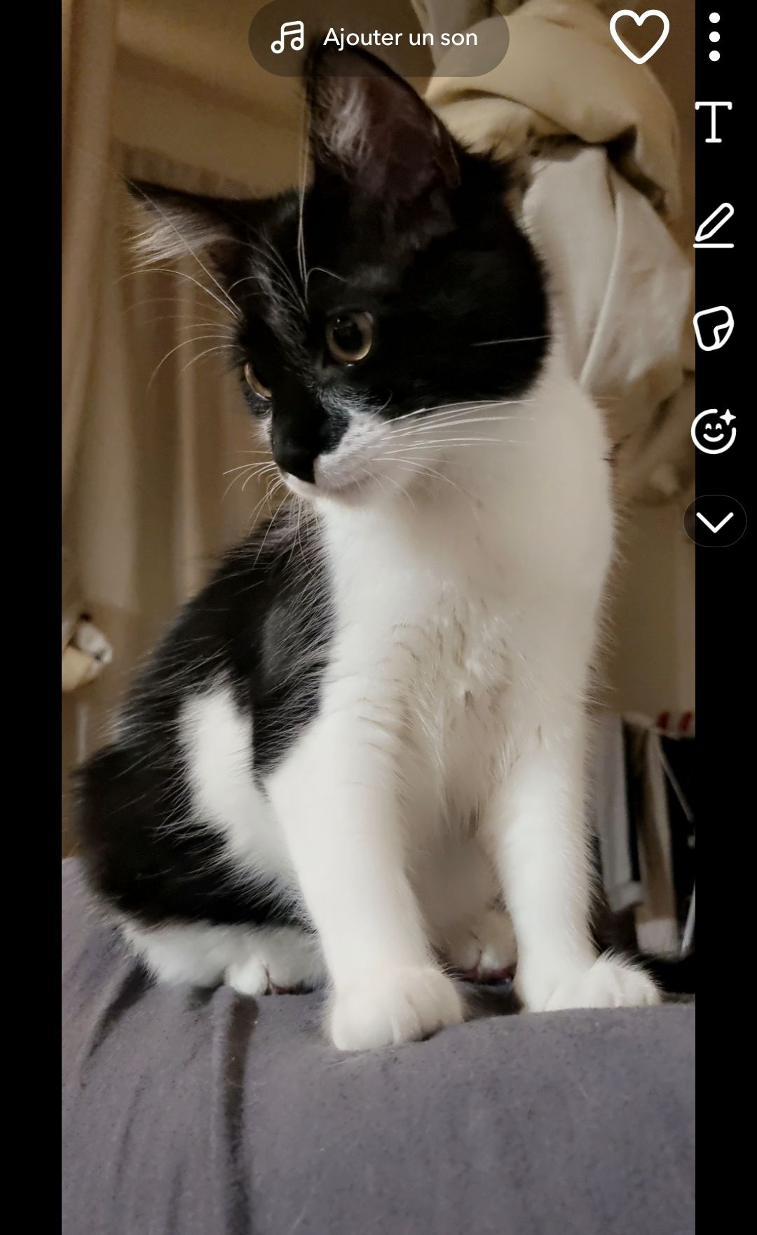 Tyson - 5 Rue Henri Dunant, Vichy