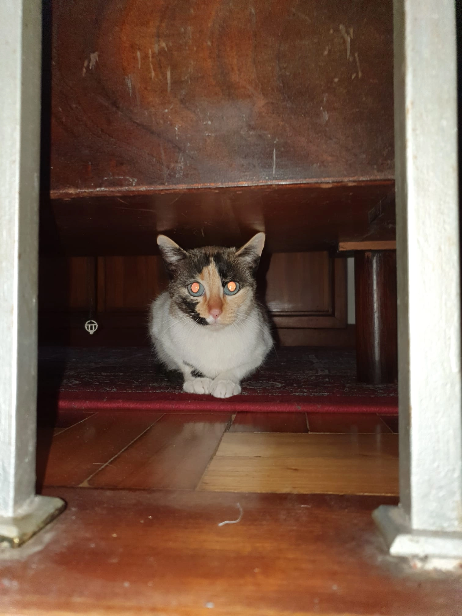 Blue  - Rua Da Ermida, São Mamede de Infesta