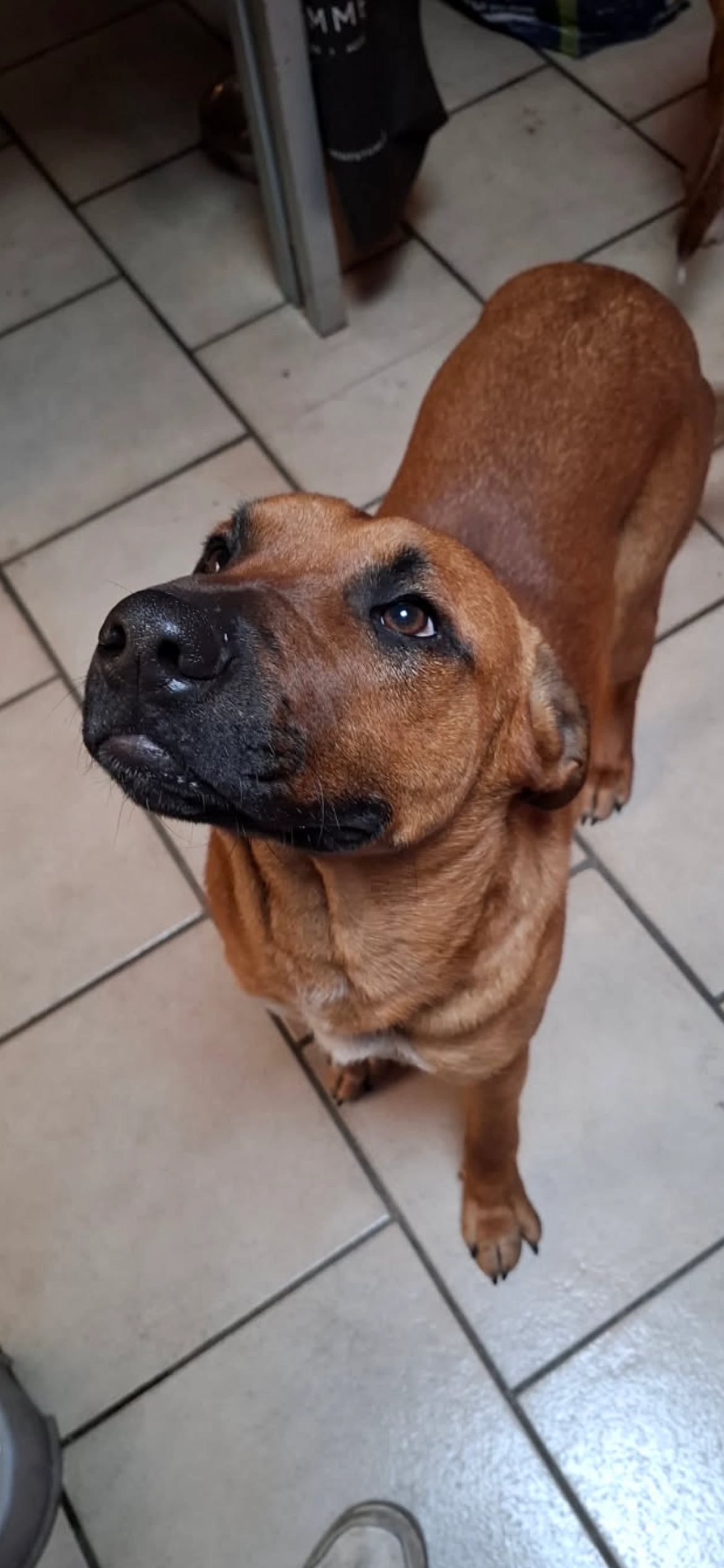 Milo - Rue de la Station, Seraing