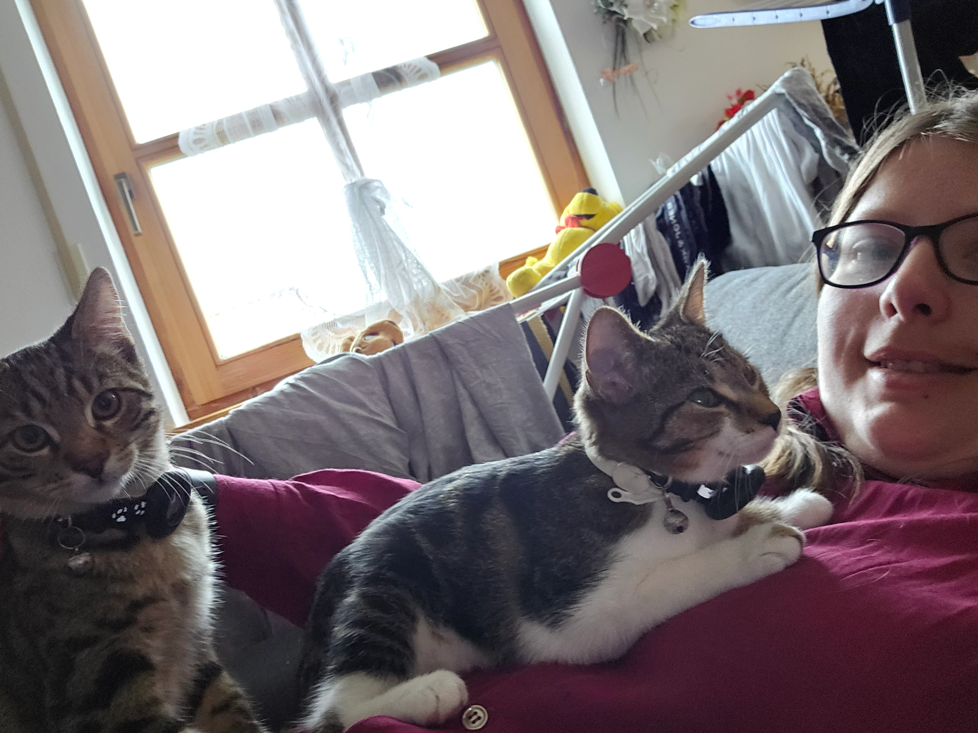 Tina - Leuchtenbergstraße, Haarbach