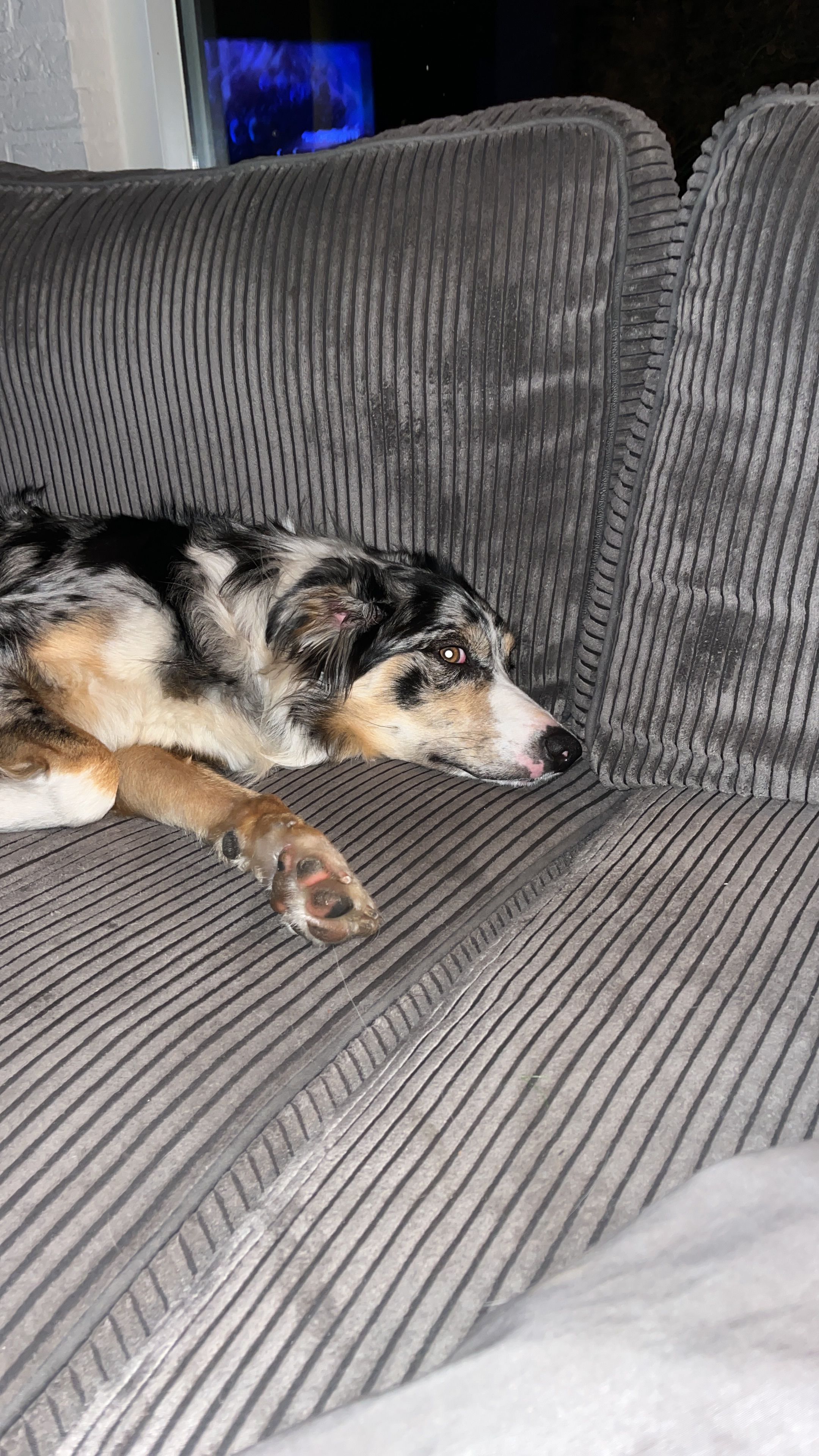 Bertje  - Hurk, Uden