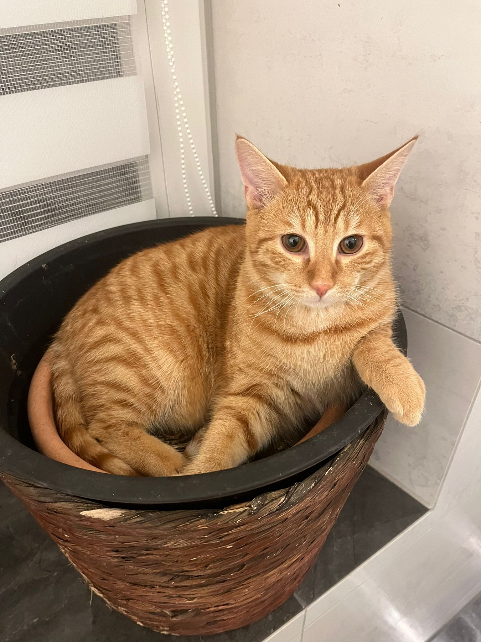 Stitch - Bergstraße, Vilsbiburg