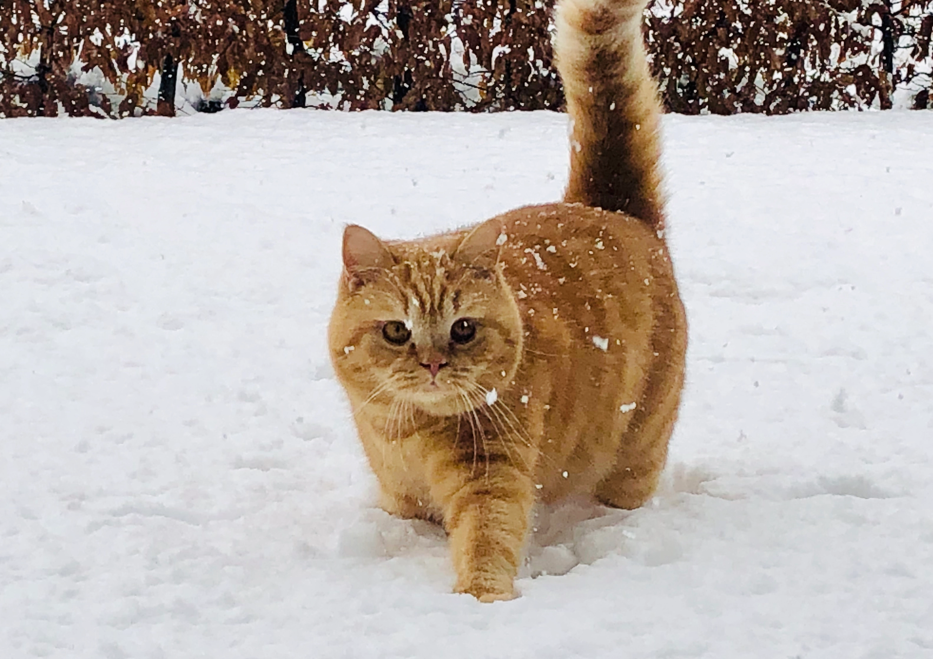 Molotov - Franklinstraße 15, Dresden