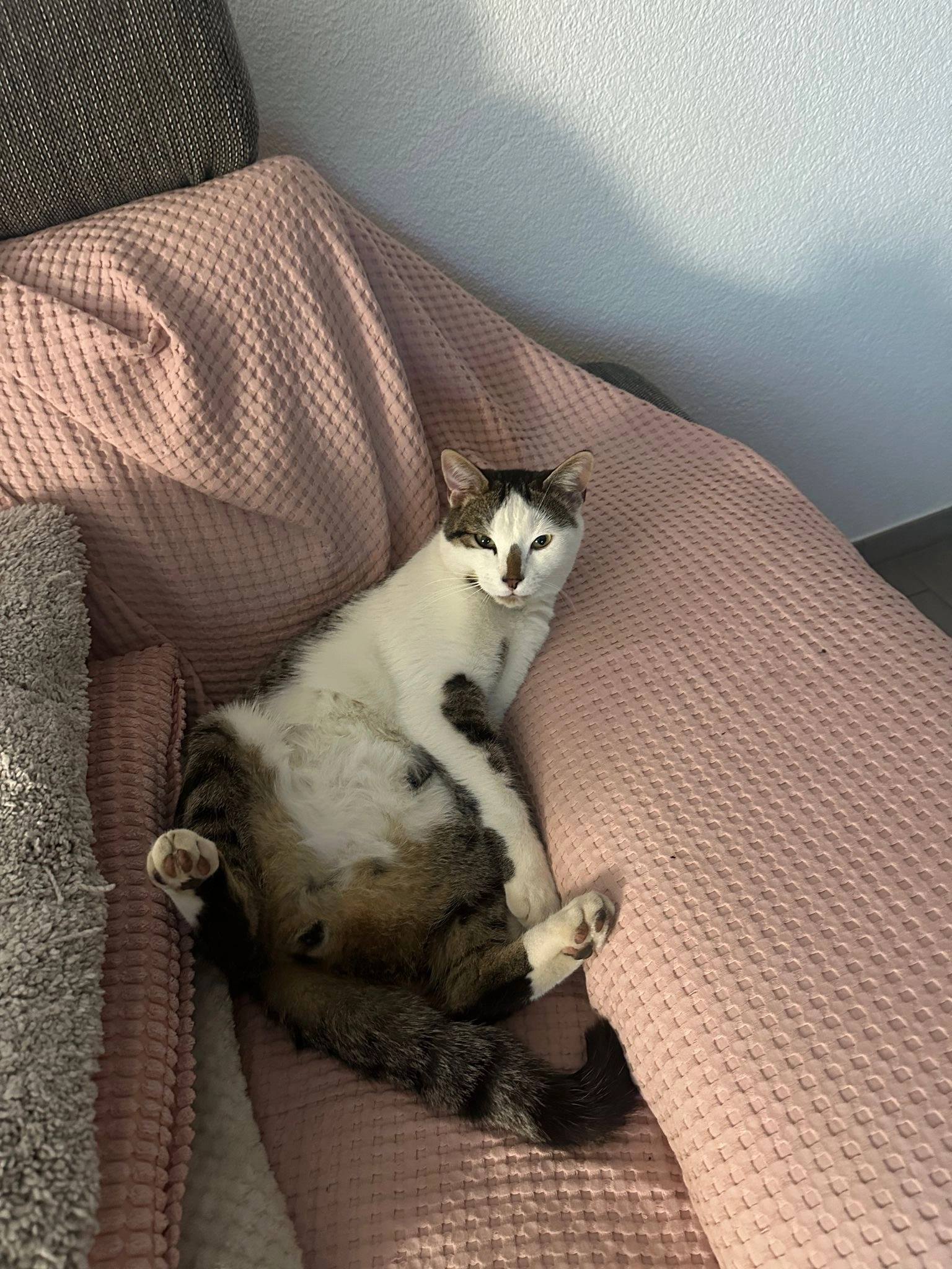 shiro - Kapellenweg, Kirchberg