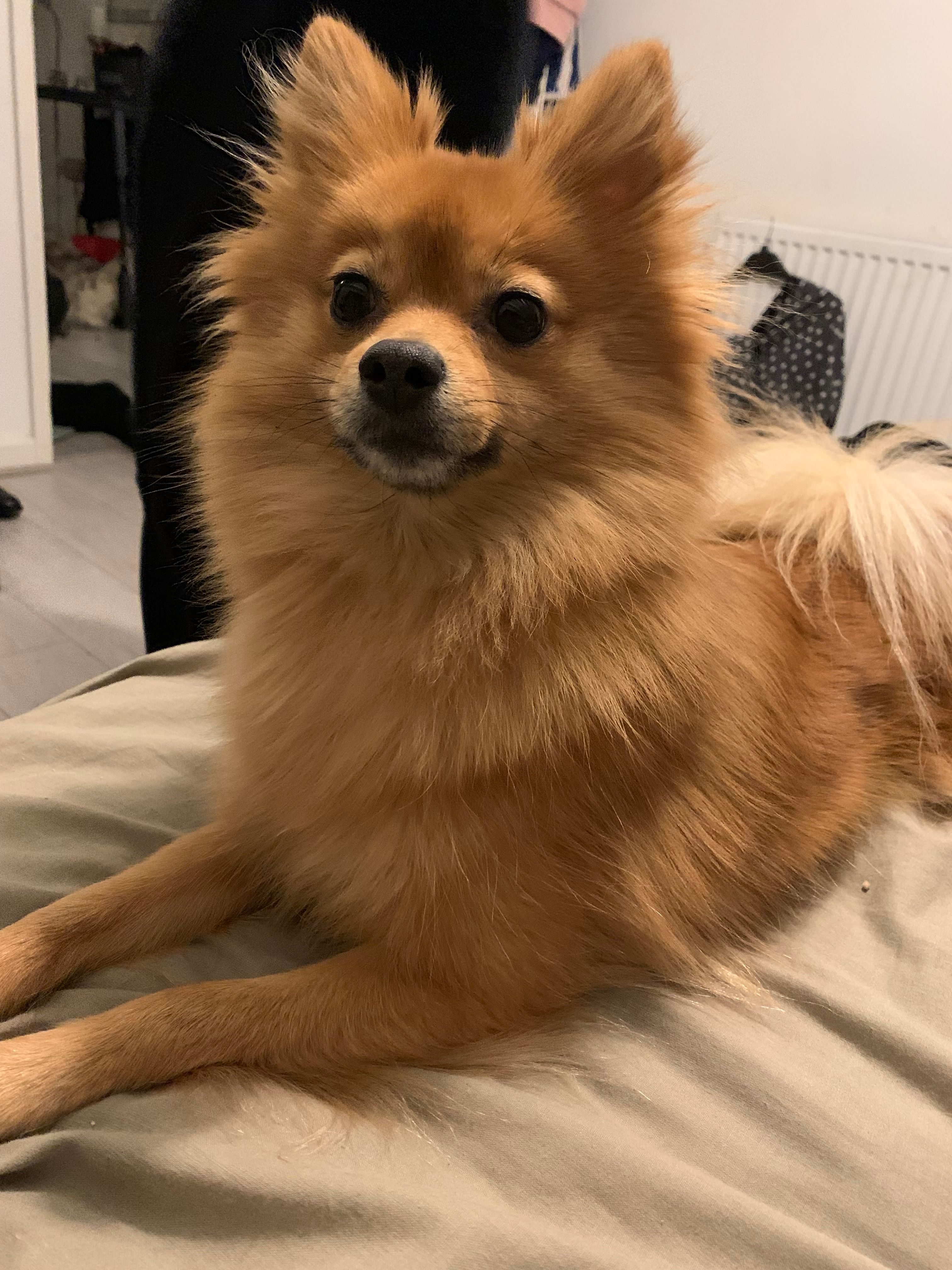 Halo - 1R Canterbury Close, Dartford