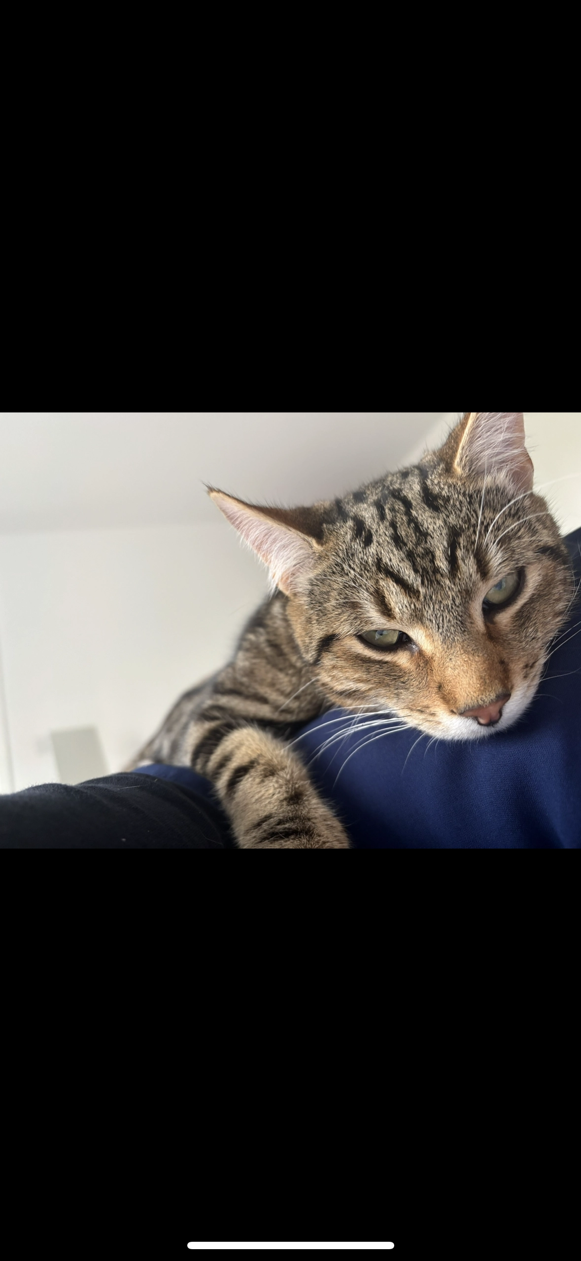 Enzo - Jewell Close, St Neots