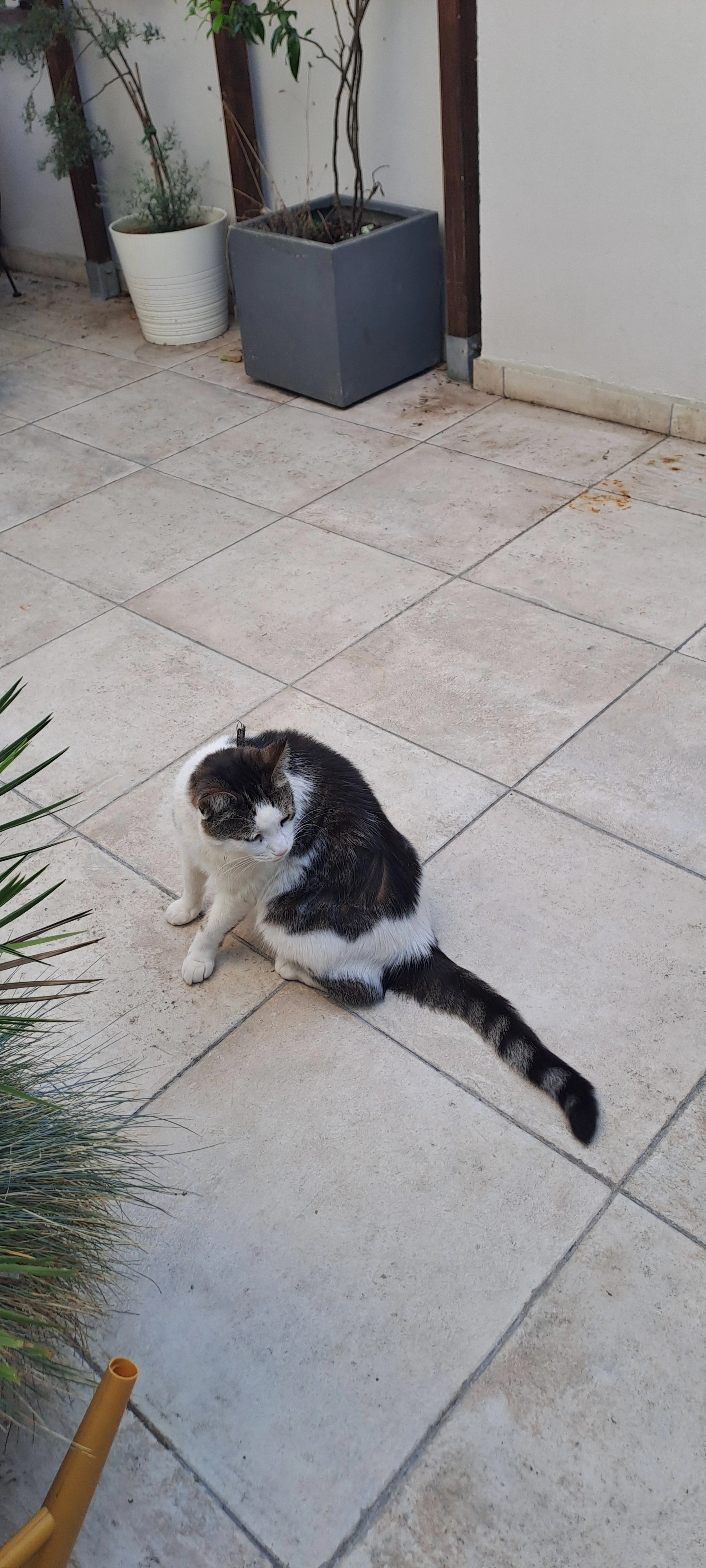 nathan - Rue Léon Blum, Fontenay-aux-Roses