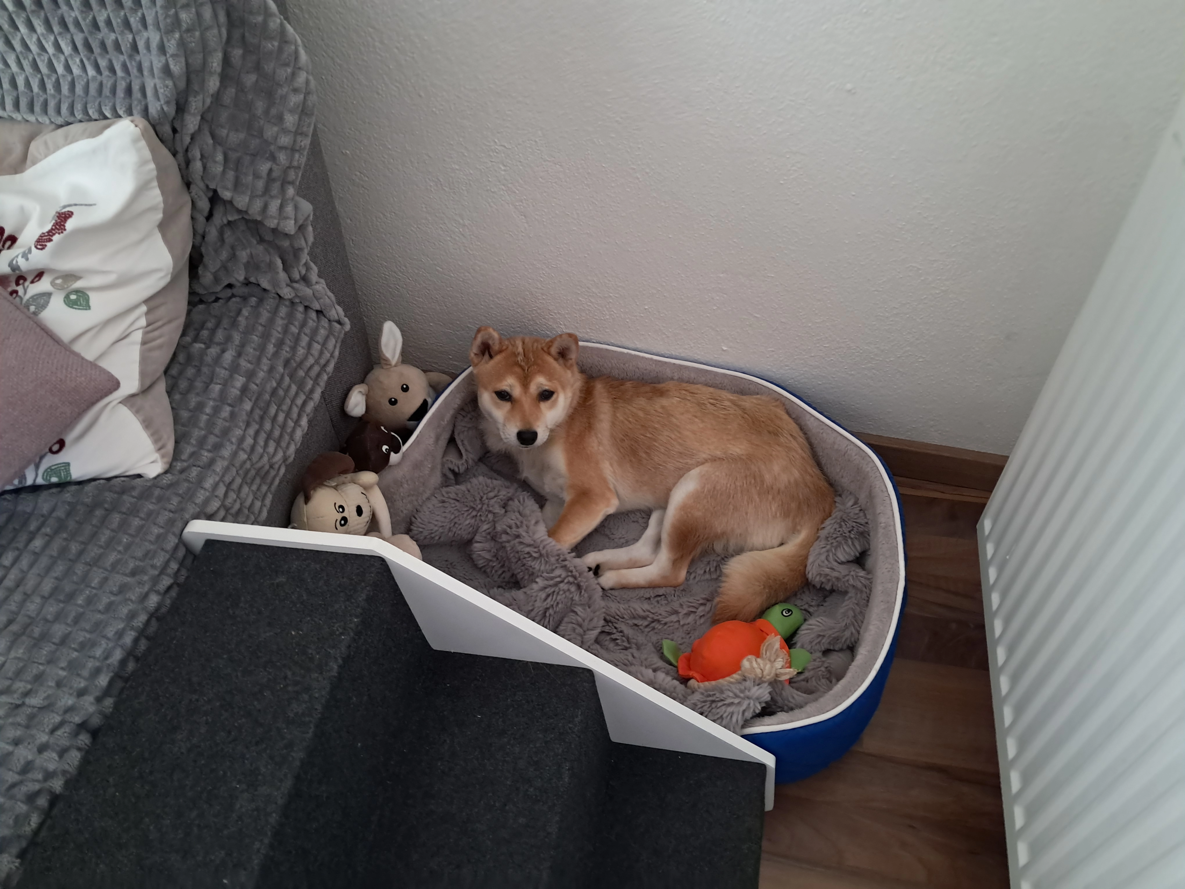 Yuna - Schönegg, Pölfing-Brunn