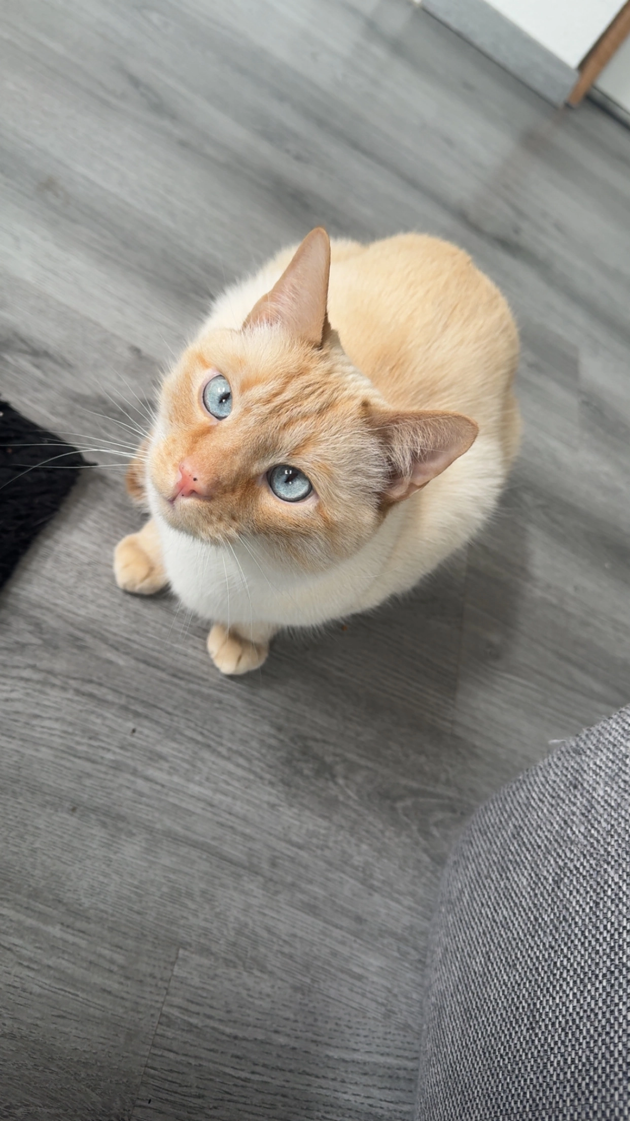 Morty  - Peter-Panzer-Straße, Everswinkel