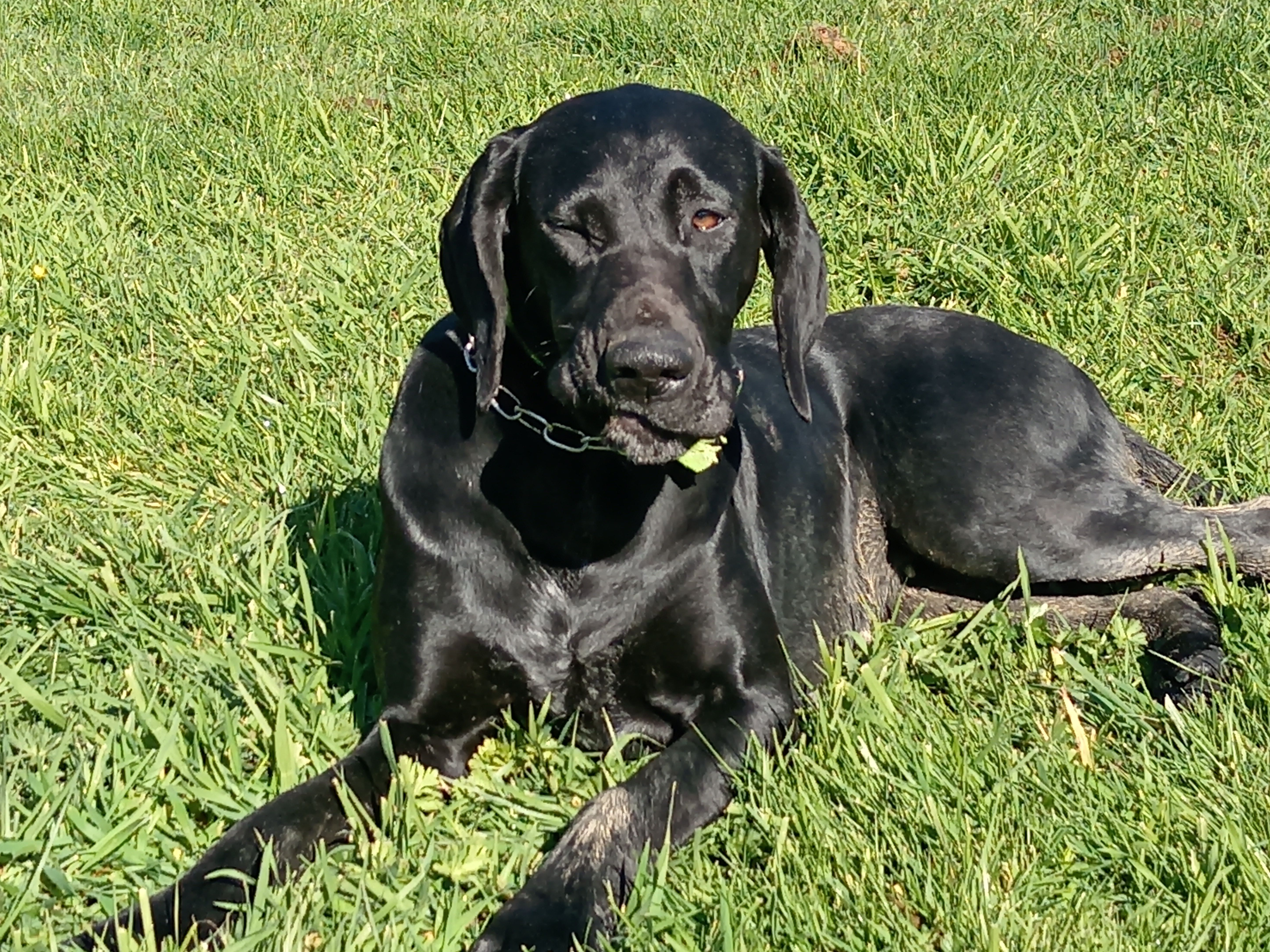 Leia  - Calle de Igorreko Industrialdea, Igorre