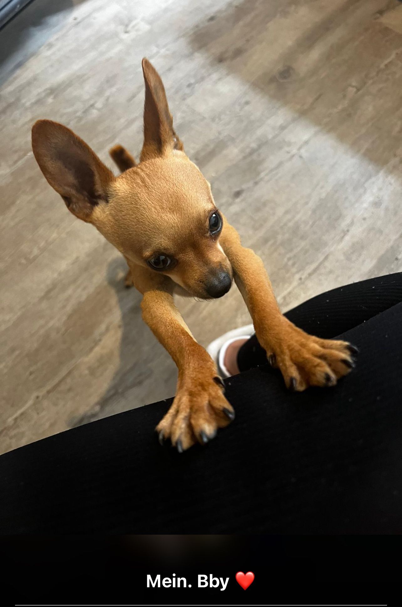 Alex - Bolongarostraße, Frankfurt am Main