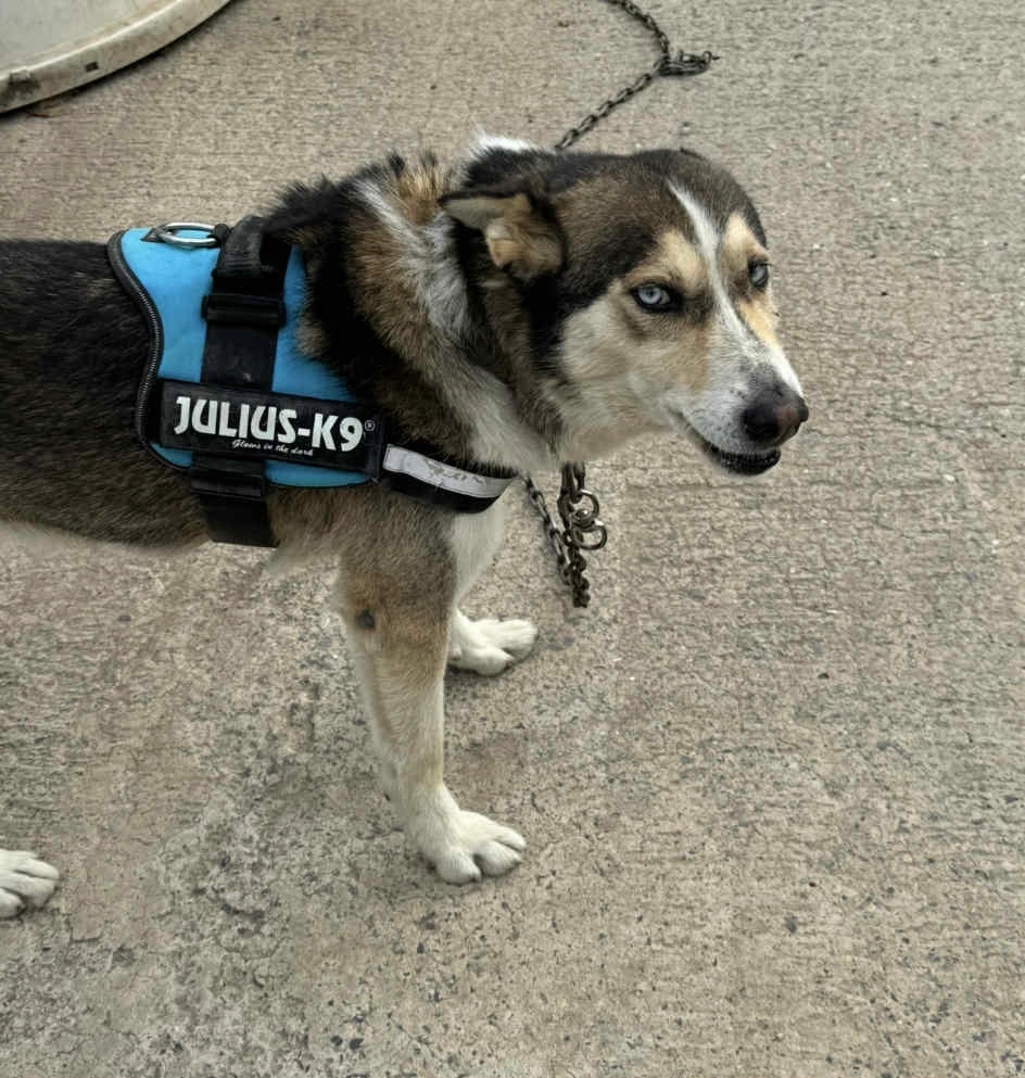 Max - Rue de Rodange, Aubange