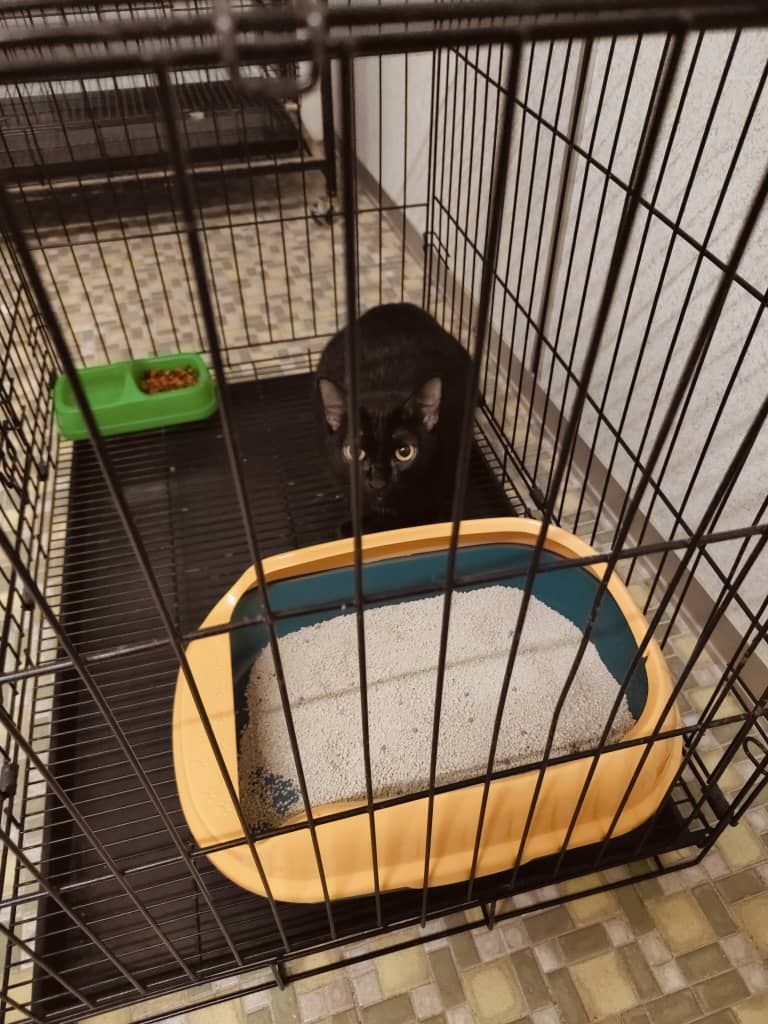 Happy - 34000, Taiping