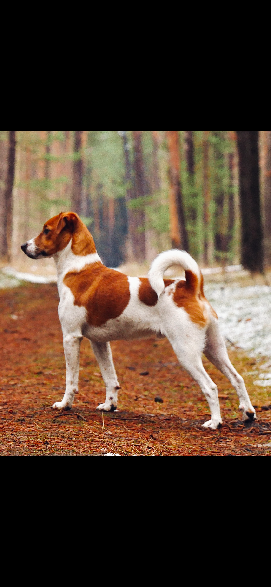 Carlos - 507270, Vulcan