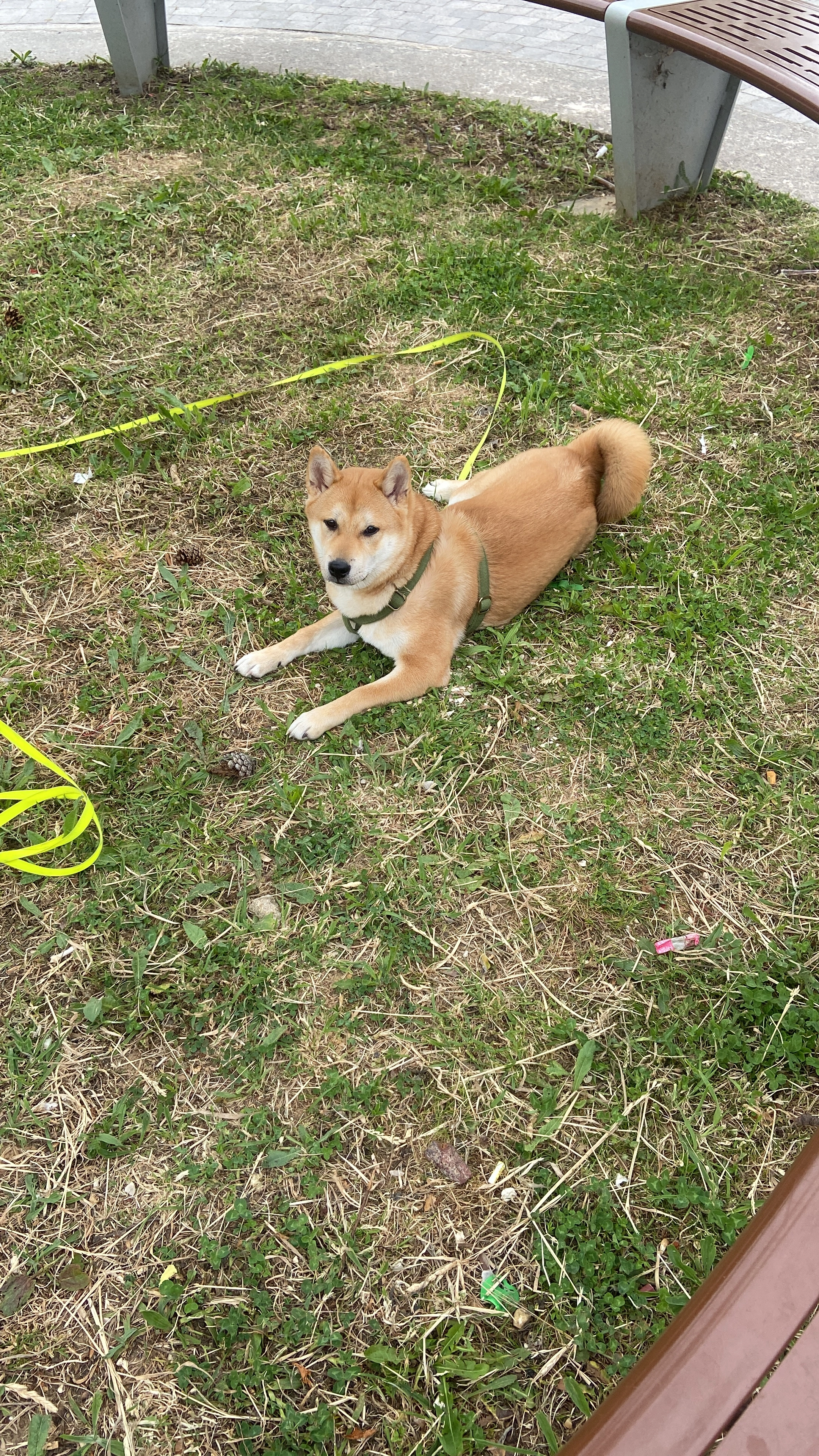 Zaiko - 12 Avenue de la Convention, Livry-Gargan