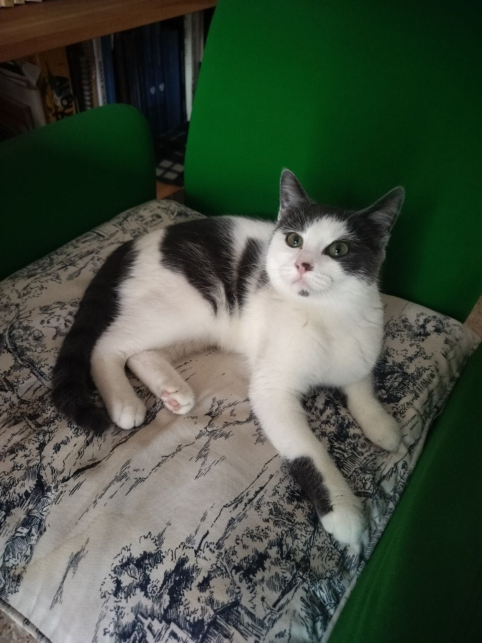 Prin - Via Palestro, Padua