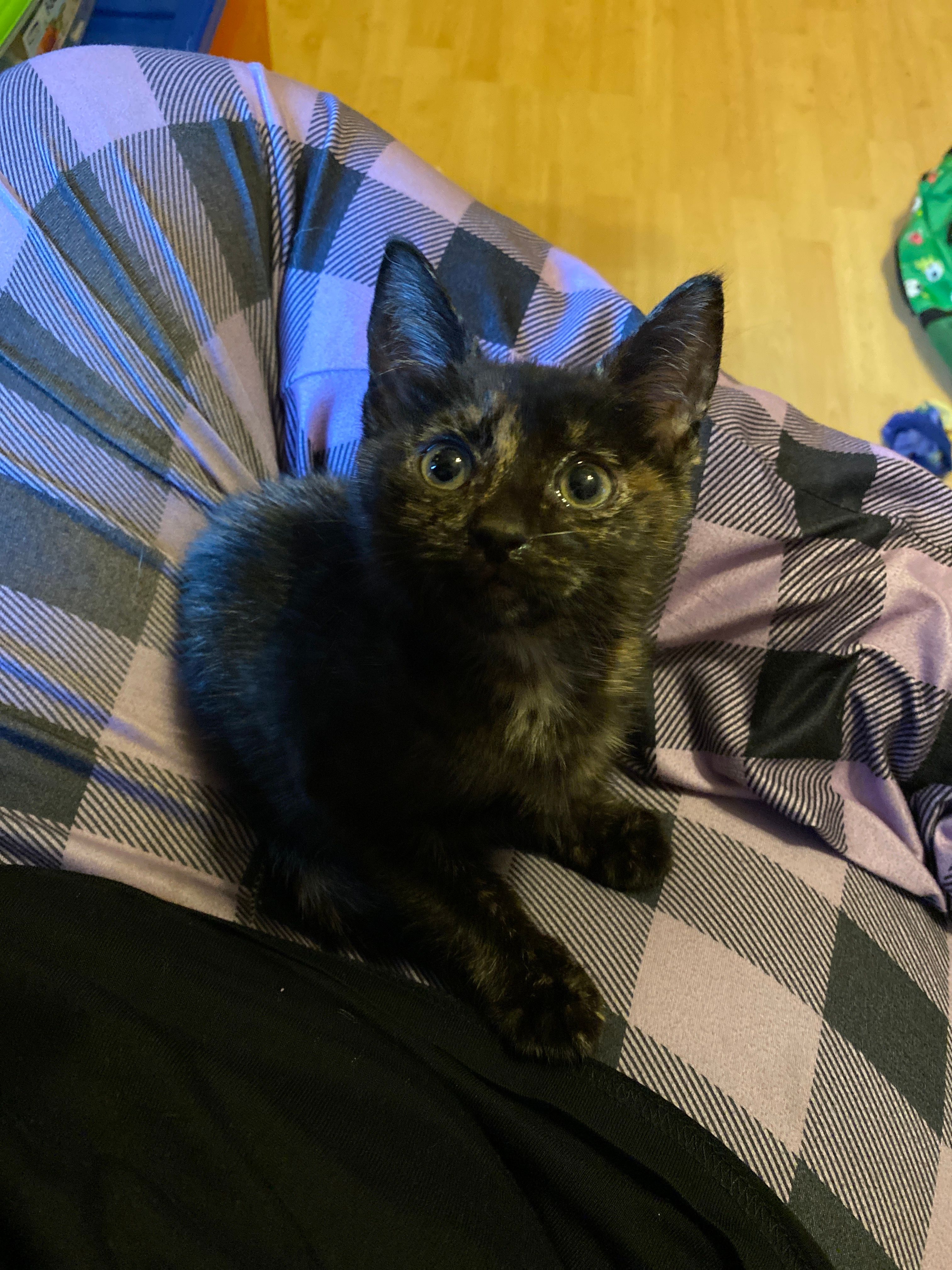 Marble - Payne Street, Lowestoft