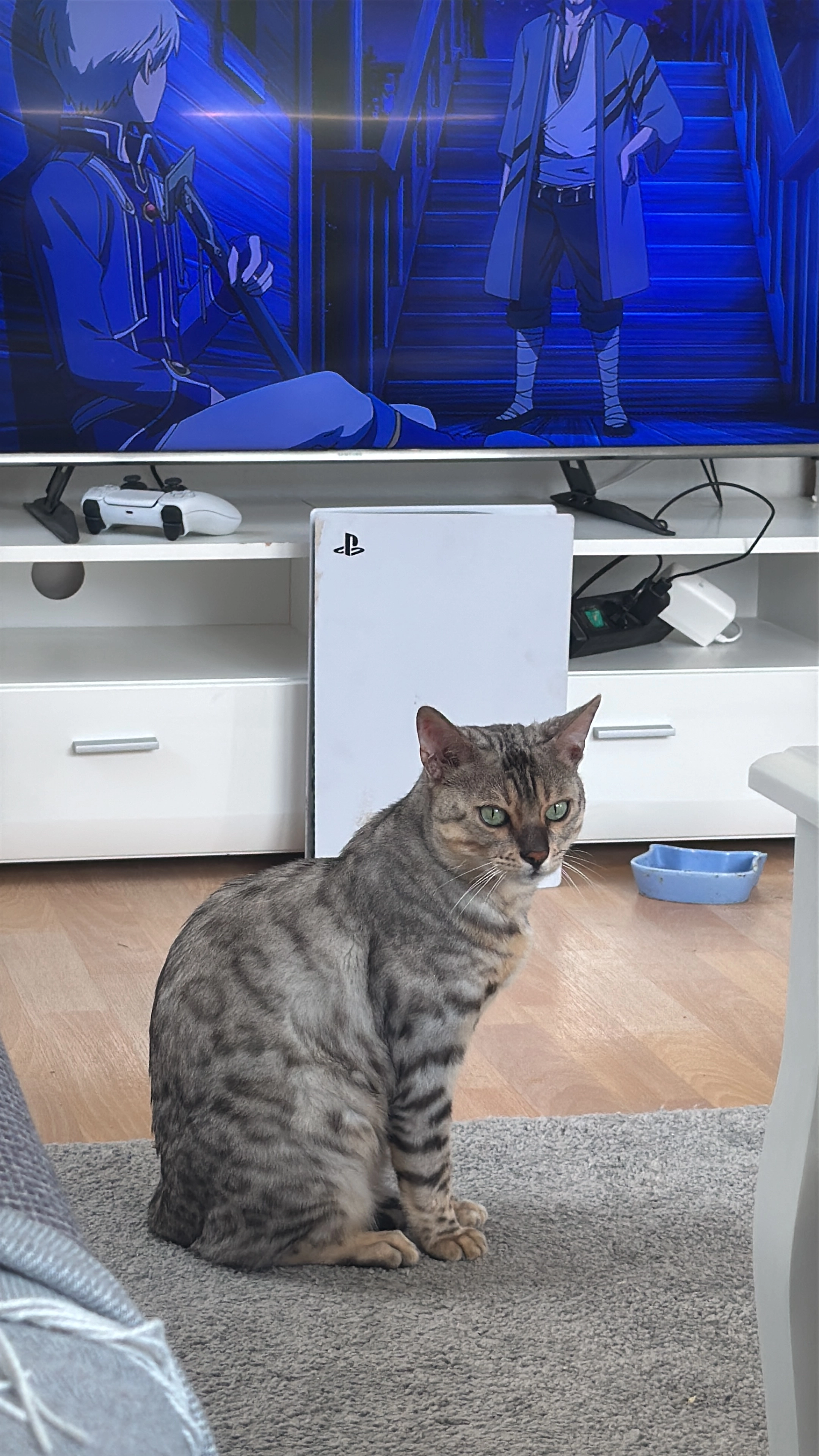 Cäsar  - Haehlstraße, Westerburg