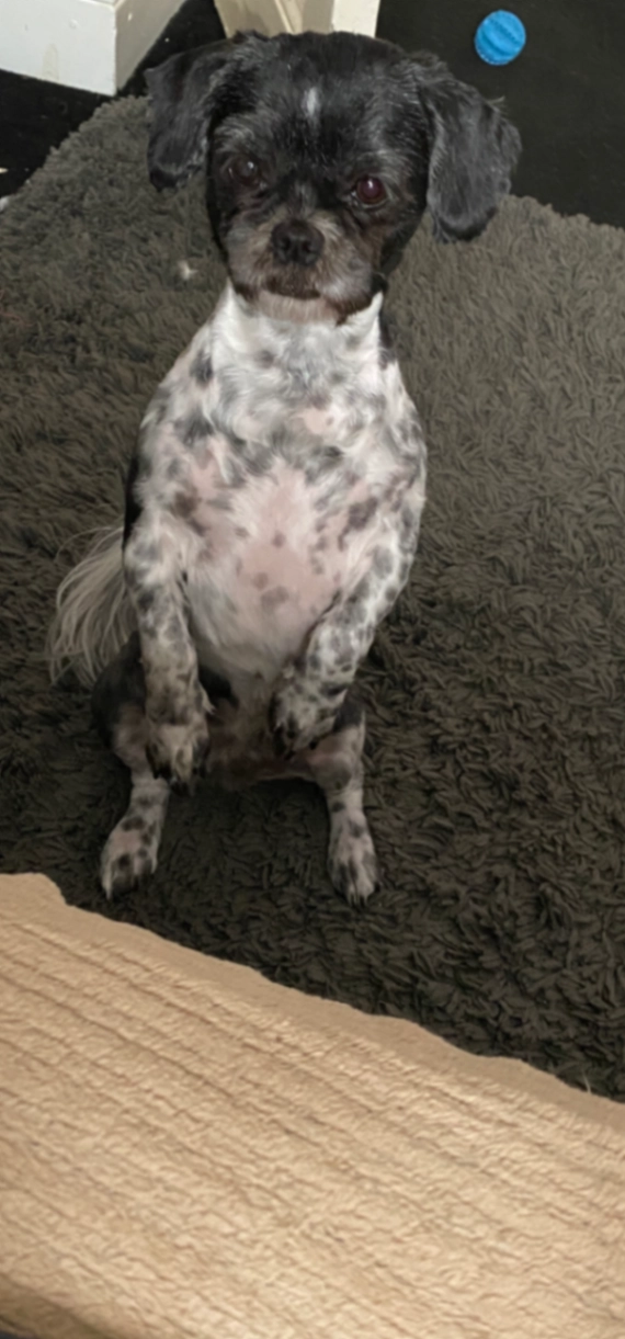 Sky - Lansdowne Road, Hounslow