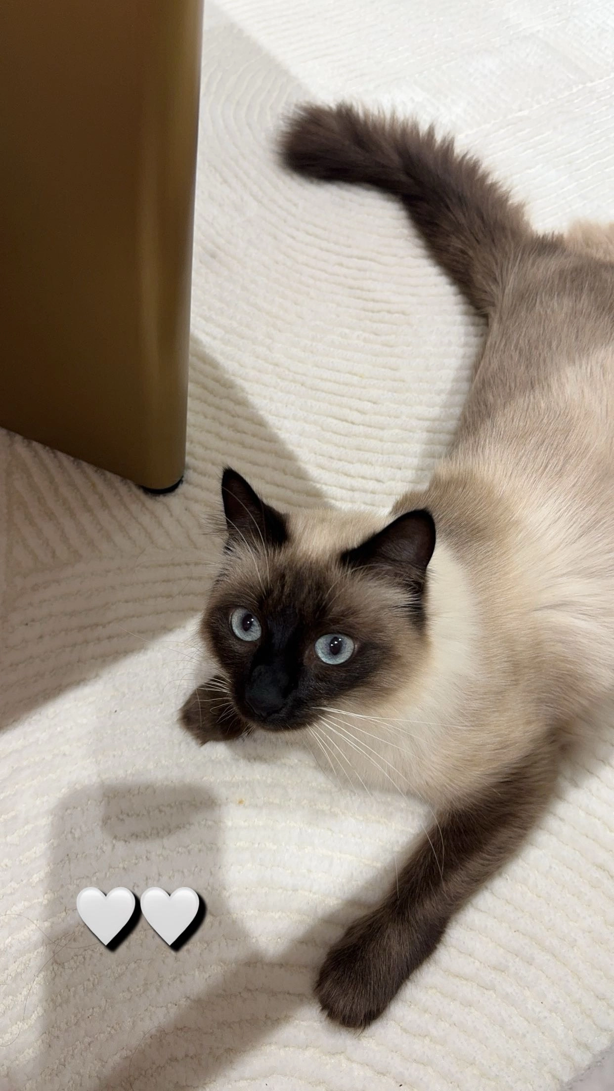 Suki - 330 Rue Alfred Darroux, Saint-Fargeau-Ponthierry