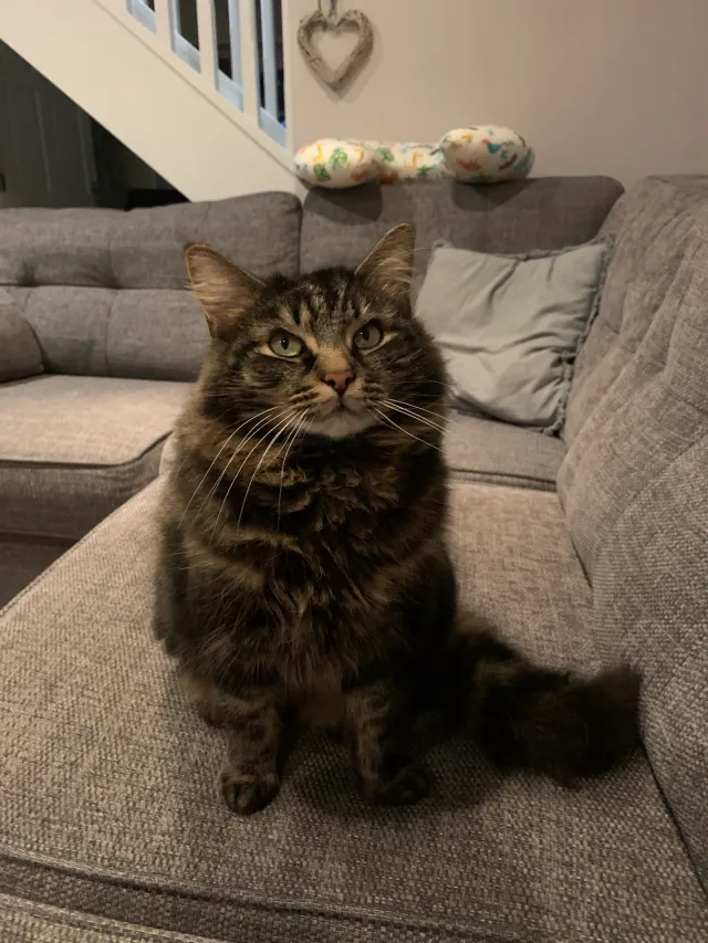 Doug - Fernlea Drive, Accrington