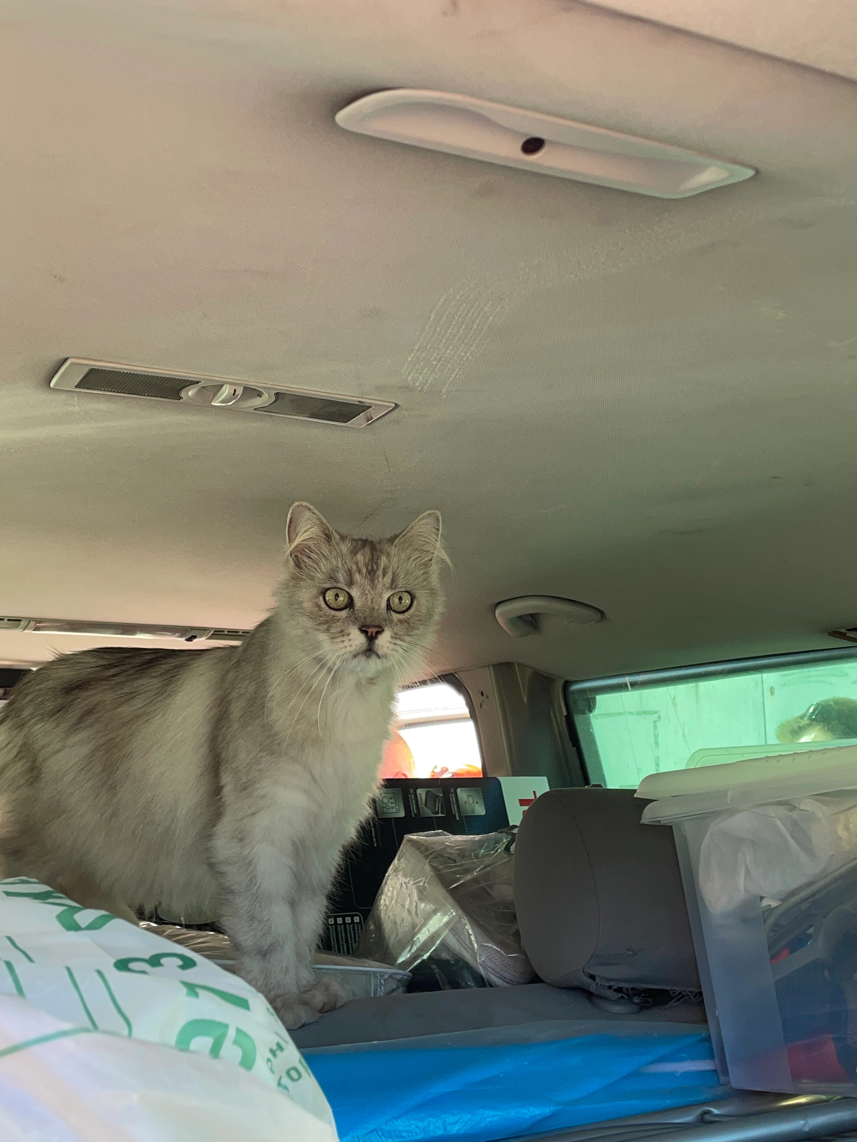 Батя (Batya) - Nezalezhnosti Street, Ivano-Frankivsk