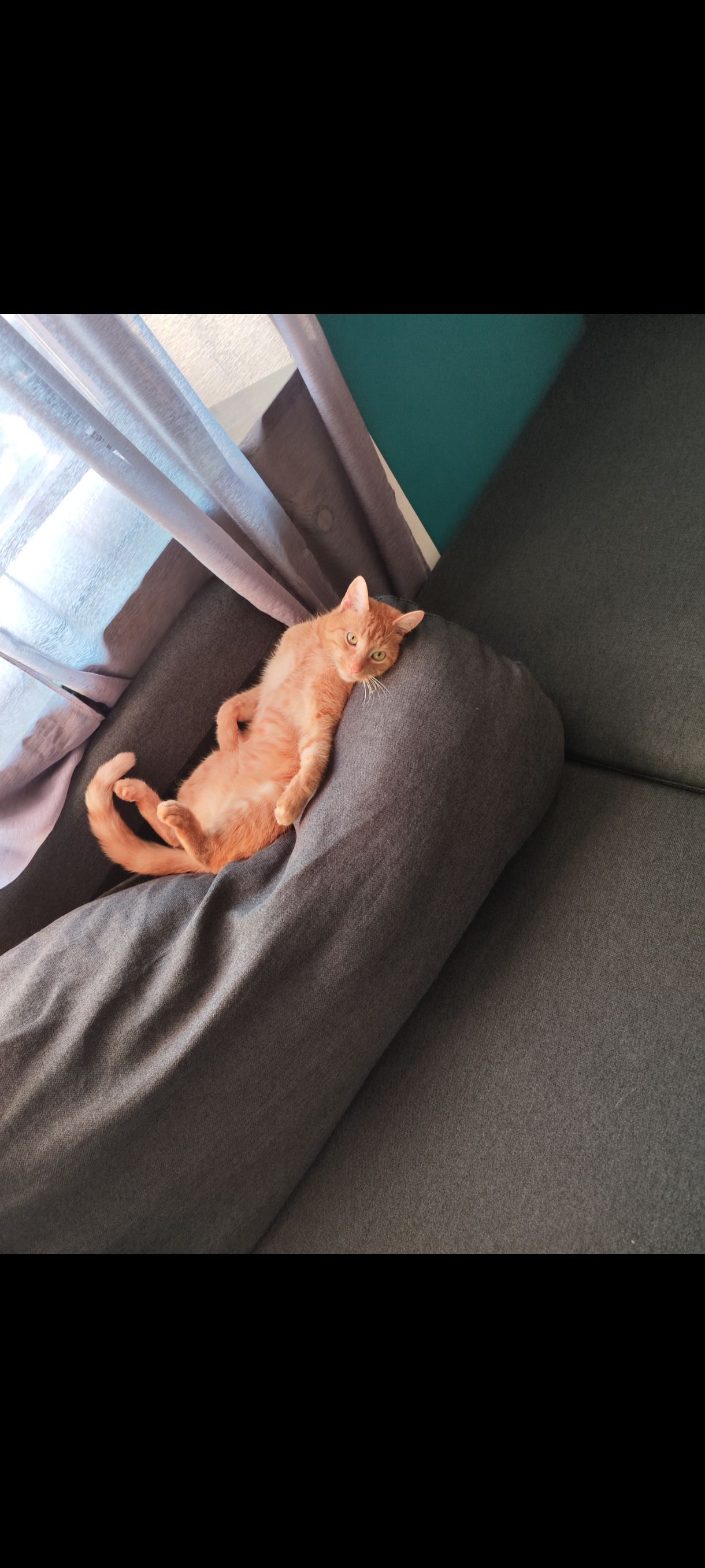 Simba - Bahnhofstraße, Emskirchen