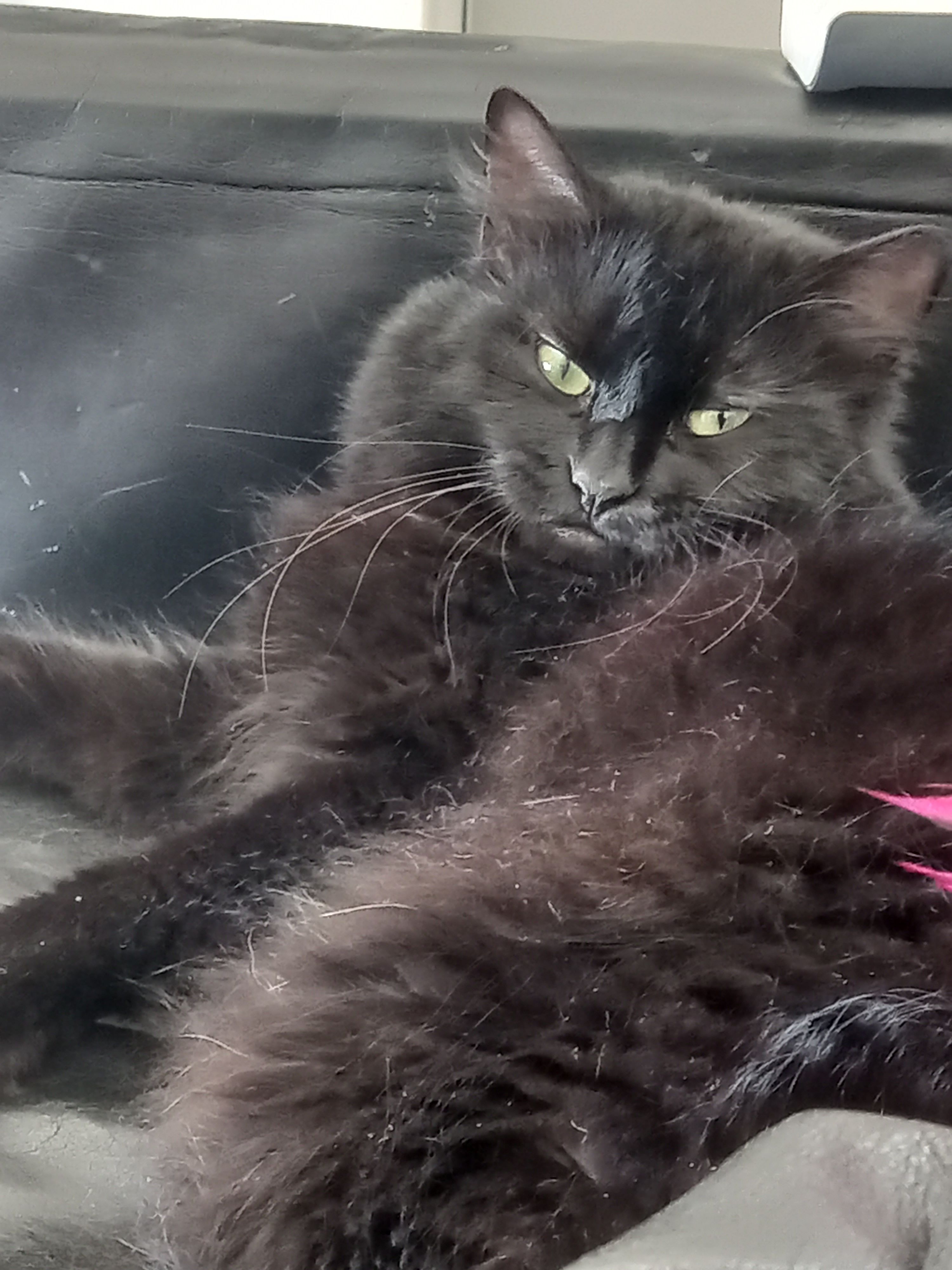 Éclipse  - Via Antonio Gramsci, Scorzè