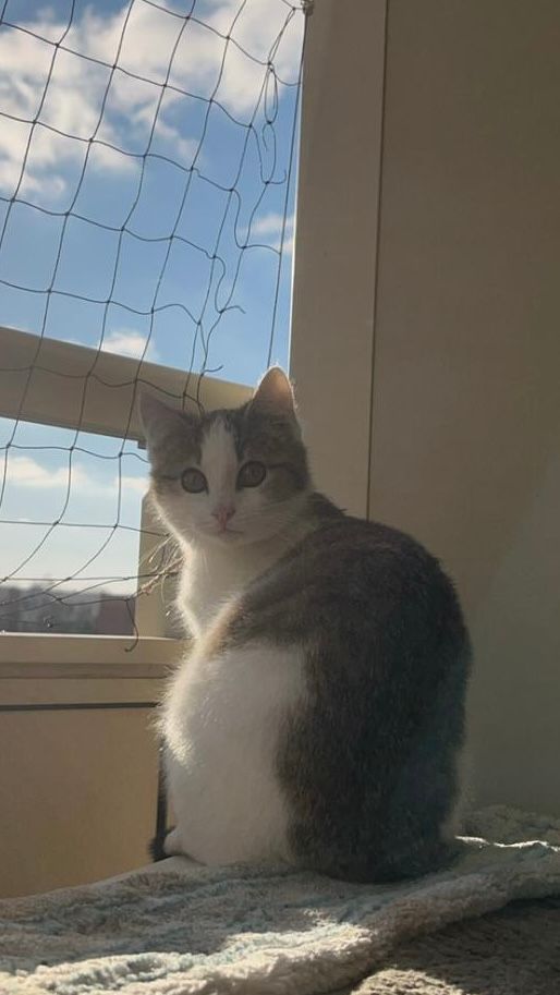 Mona - Warnowallee 7, Rostock