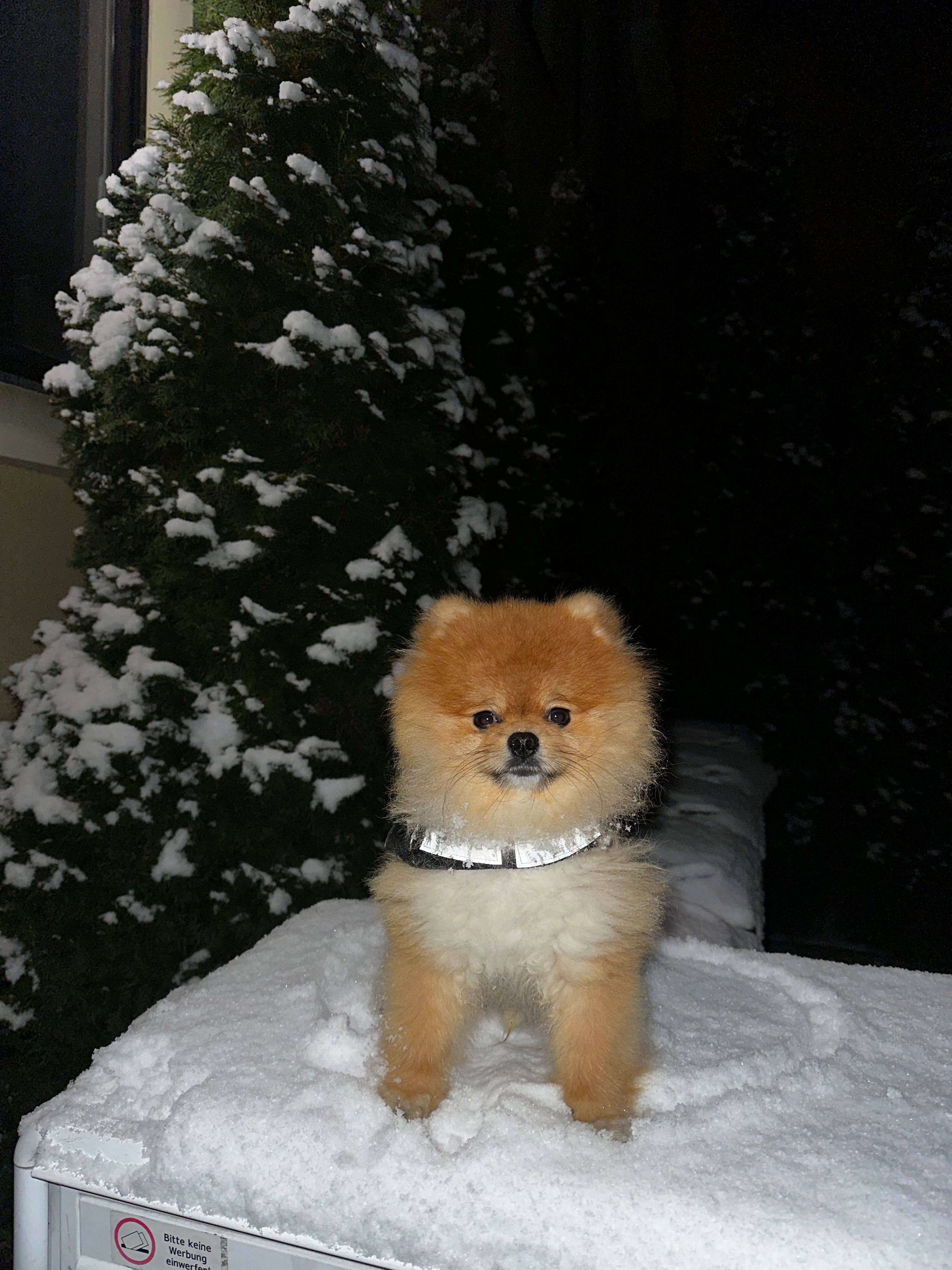 Milo - Friedrich-Engels-Straße, Zwickau