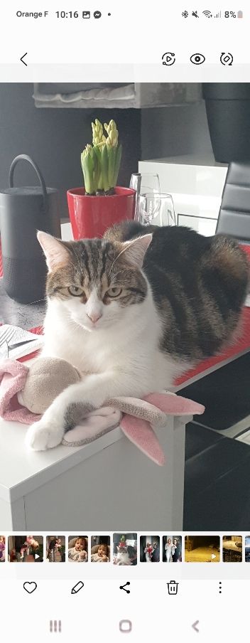 Okalm - 79 Route du Lac, Manhac