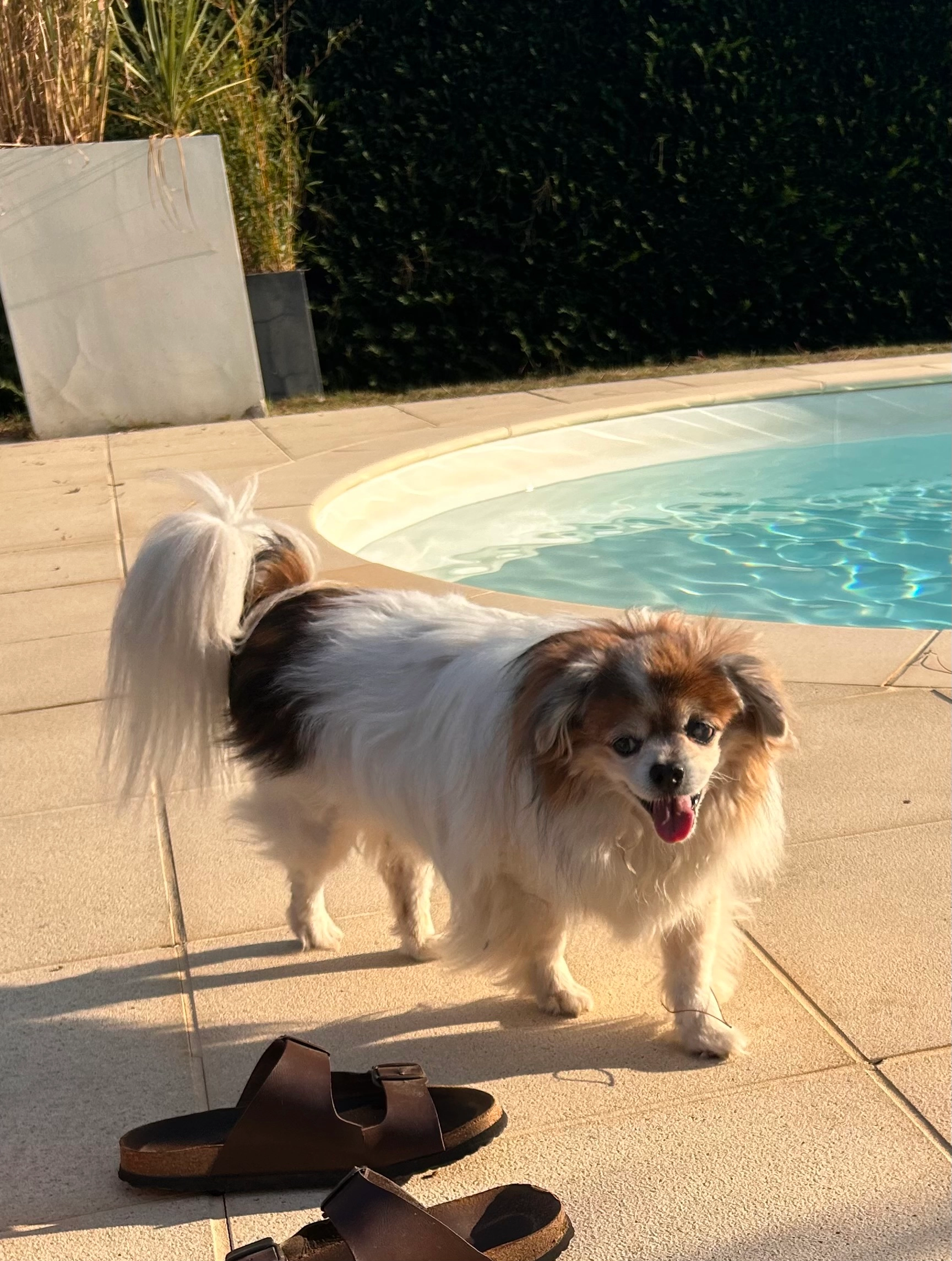 Ganbei - Impasse du Cruchin, Saint-Romain-le-Puy