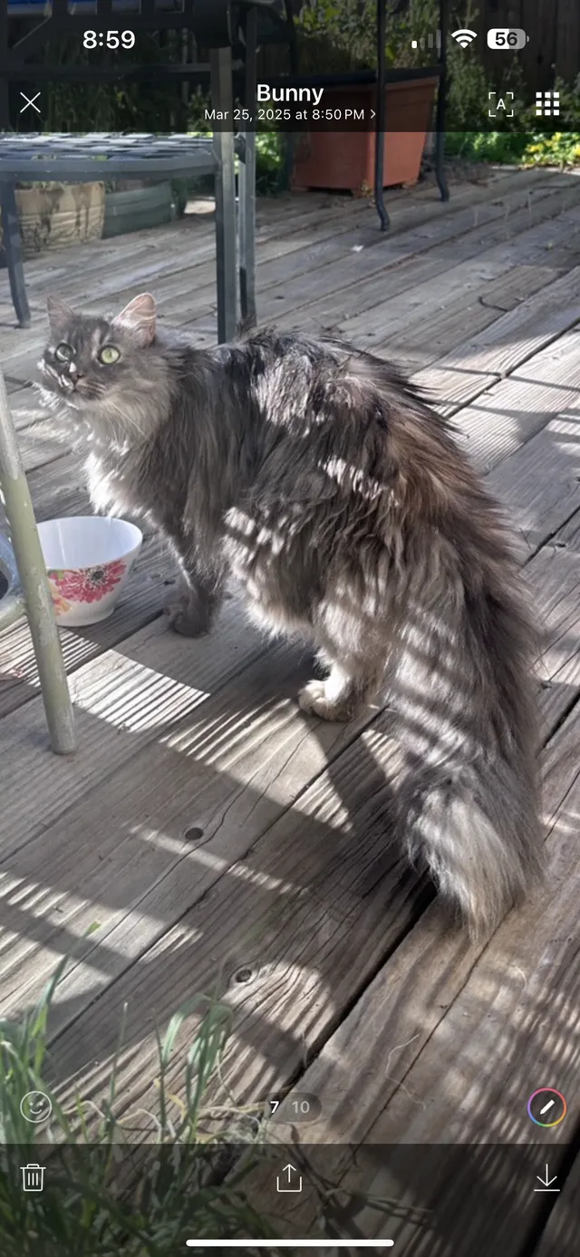Nina  - Arlington Cir, Pittsburg
