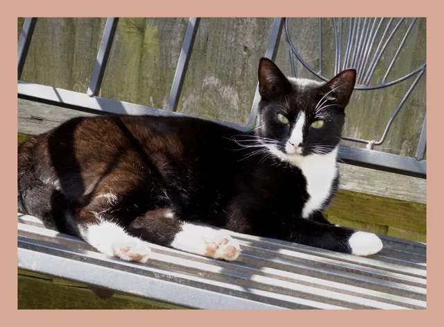 Thomas - Clarence Road, Milton Keynes