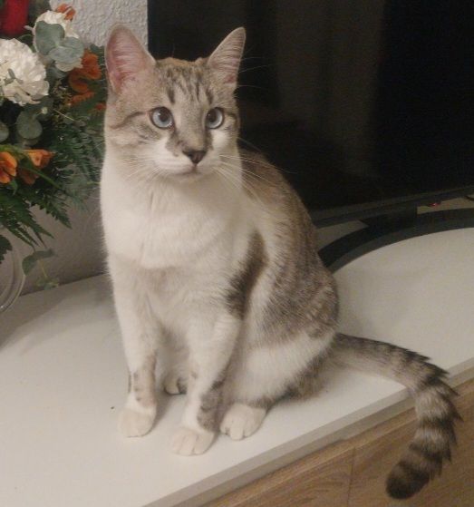 MATEO - Calle de San Roque 29, Zaragoza