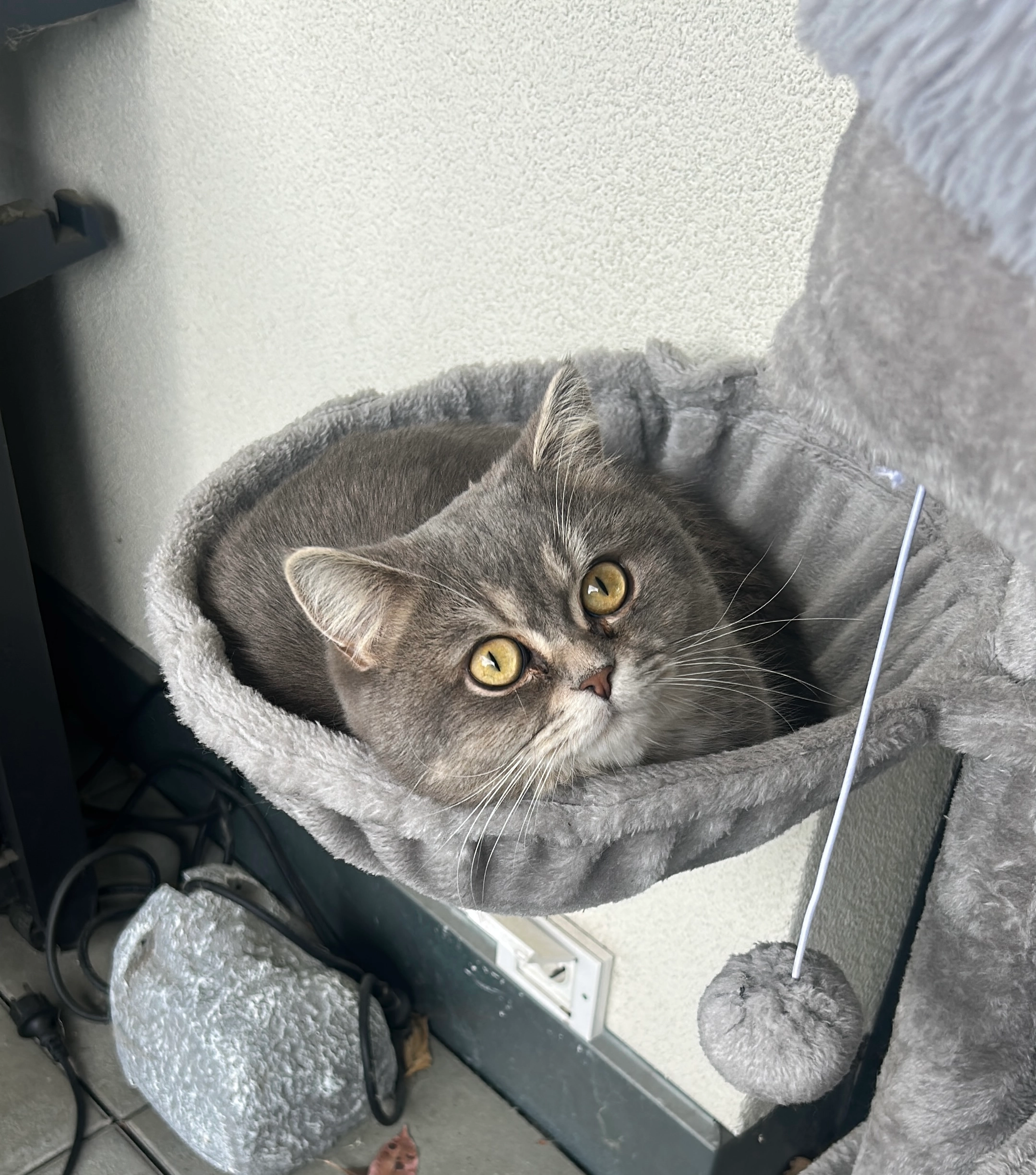 Frodo - Siedlerstraße, Zirndorf