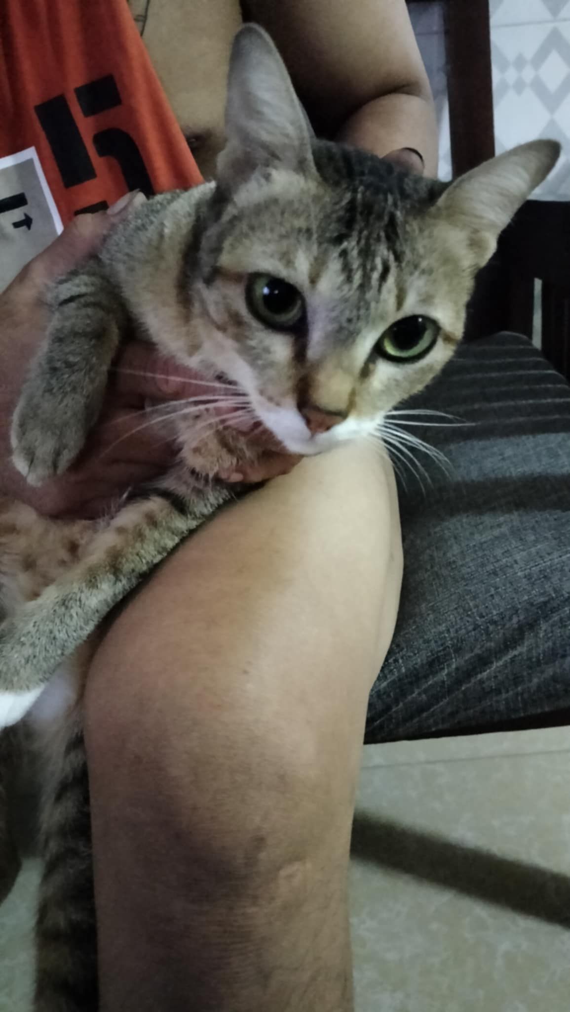 Nita - 120104, Phnom Penh