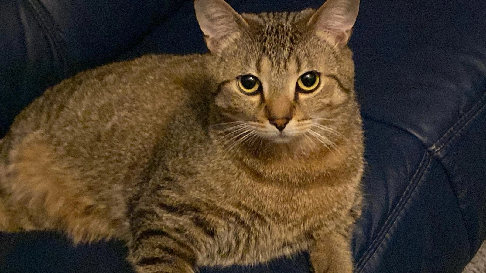 Balu  - Rathausstraße, Alsdorf