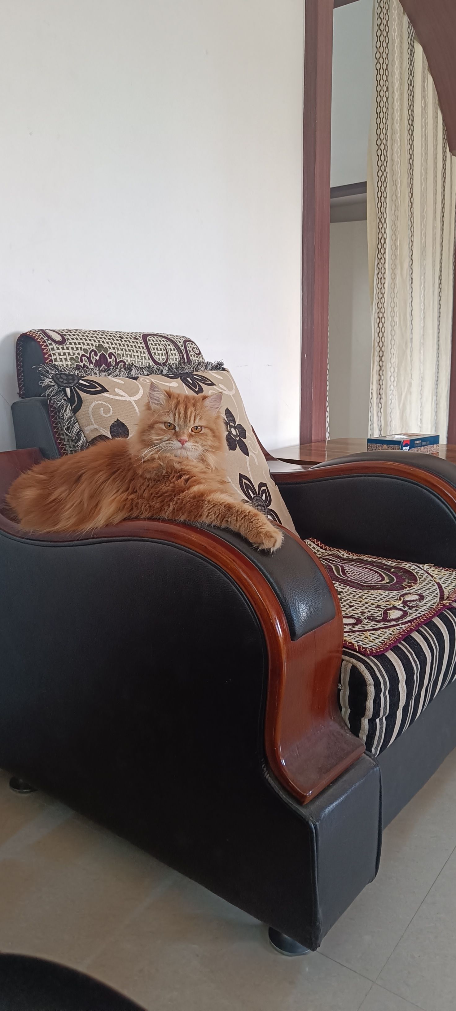 Chintu - Sulla Road, Hubballi