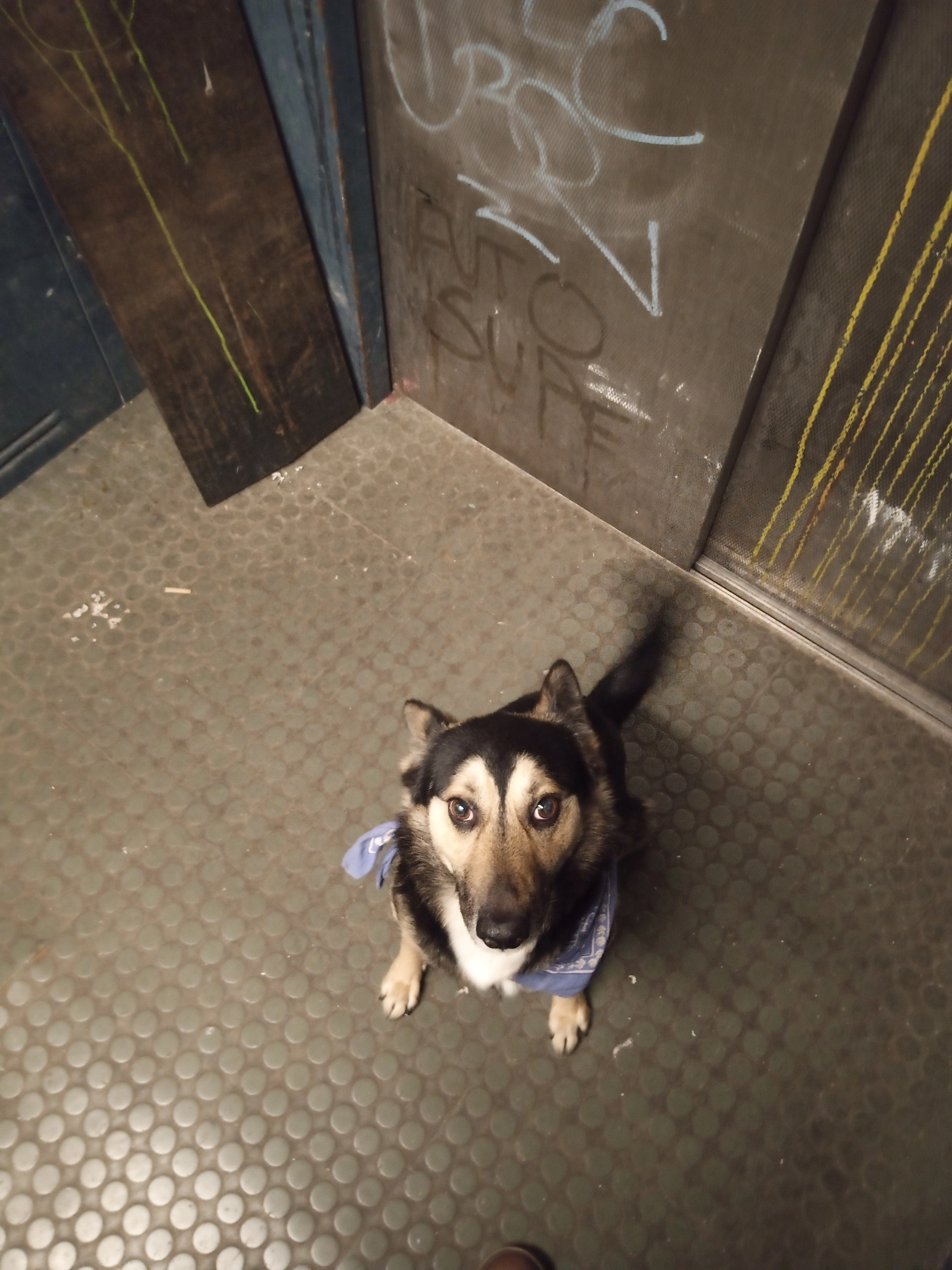 Tutanchamun - Zeiseweg, Hamburg