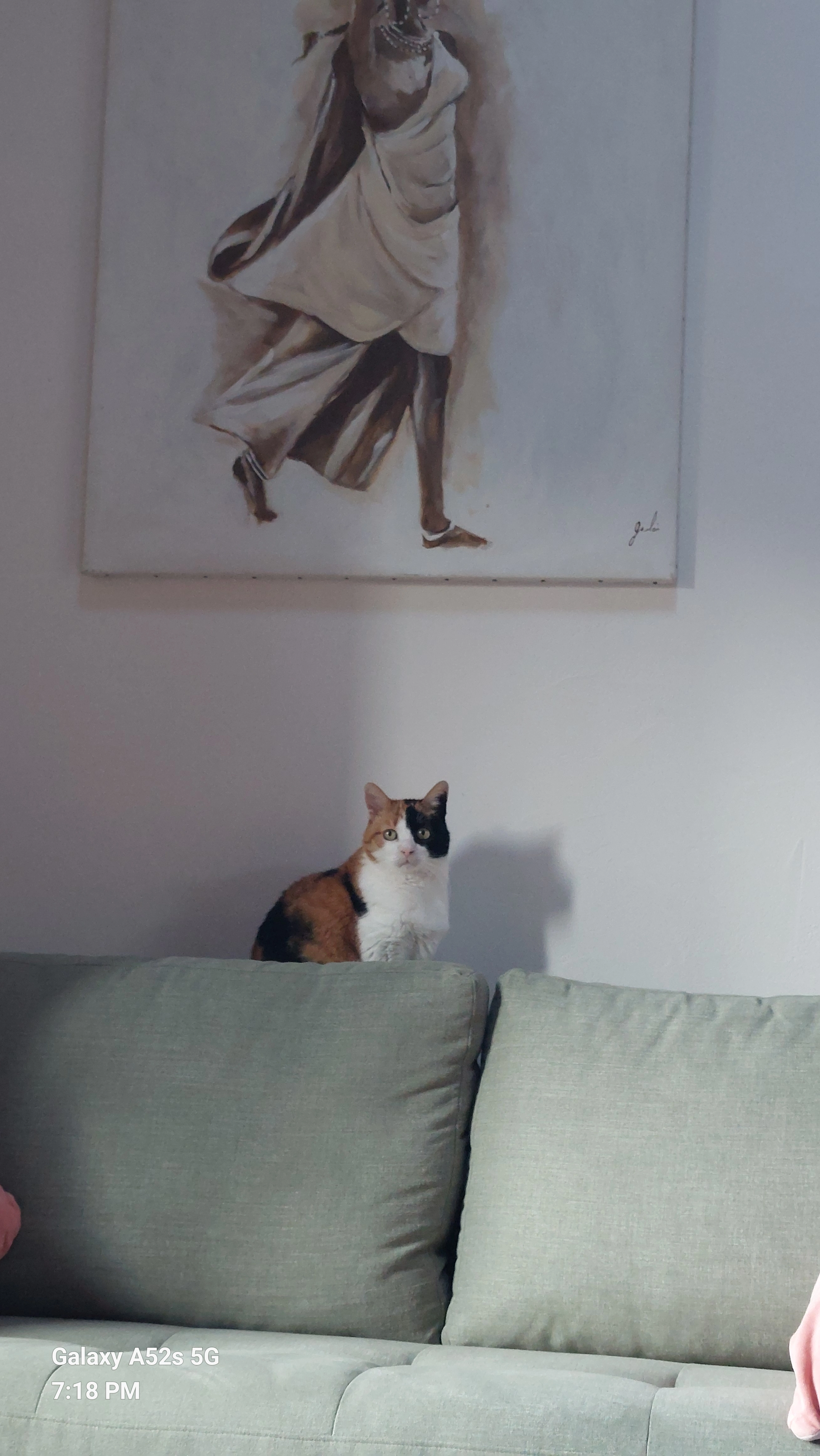 Minouchette  - 39 Chemin du Vieux Bassin, Bourg-Saint-Maurice