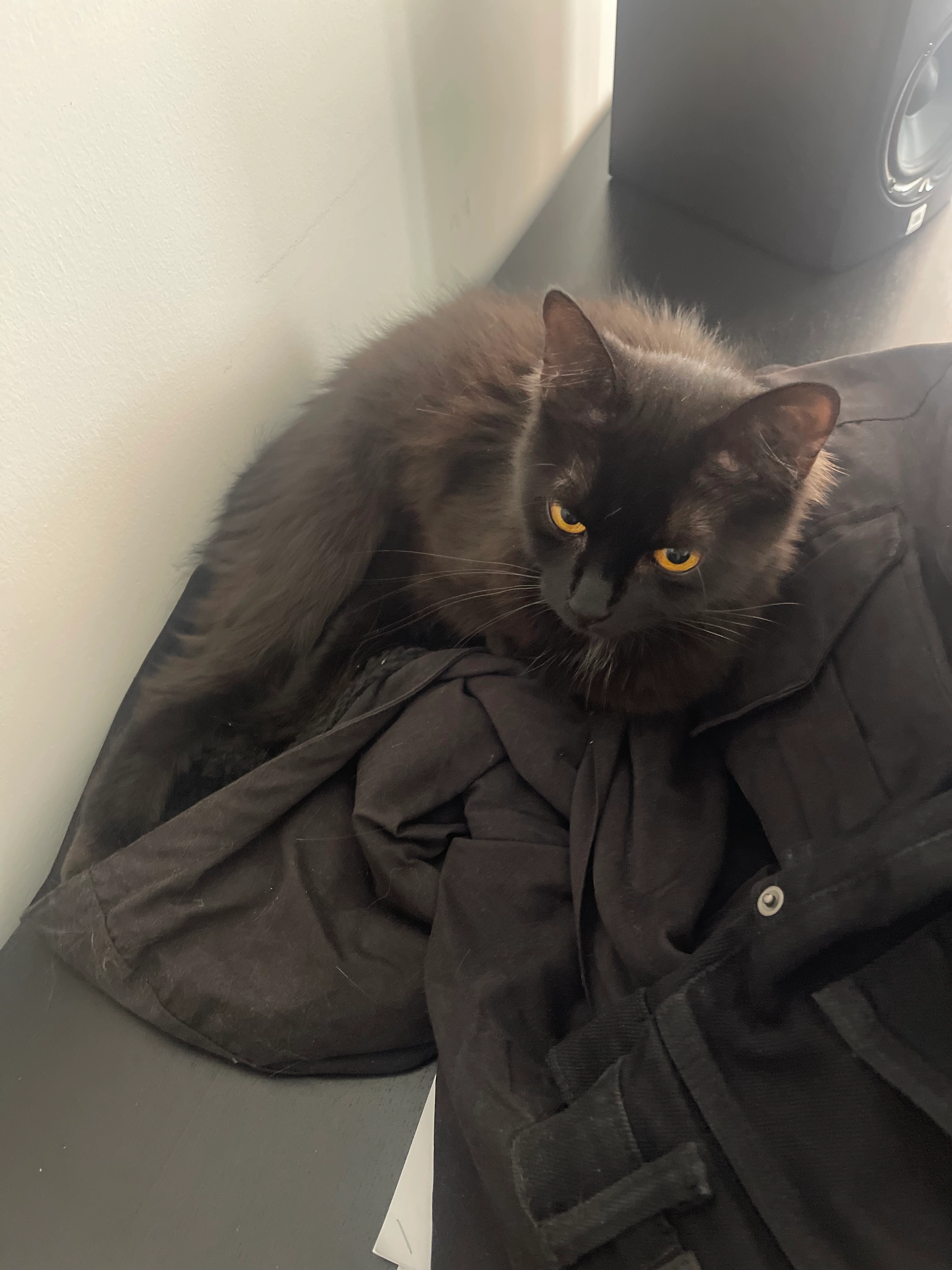 Pula - Ridderstraat, Hasselt