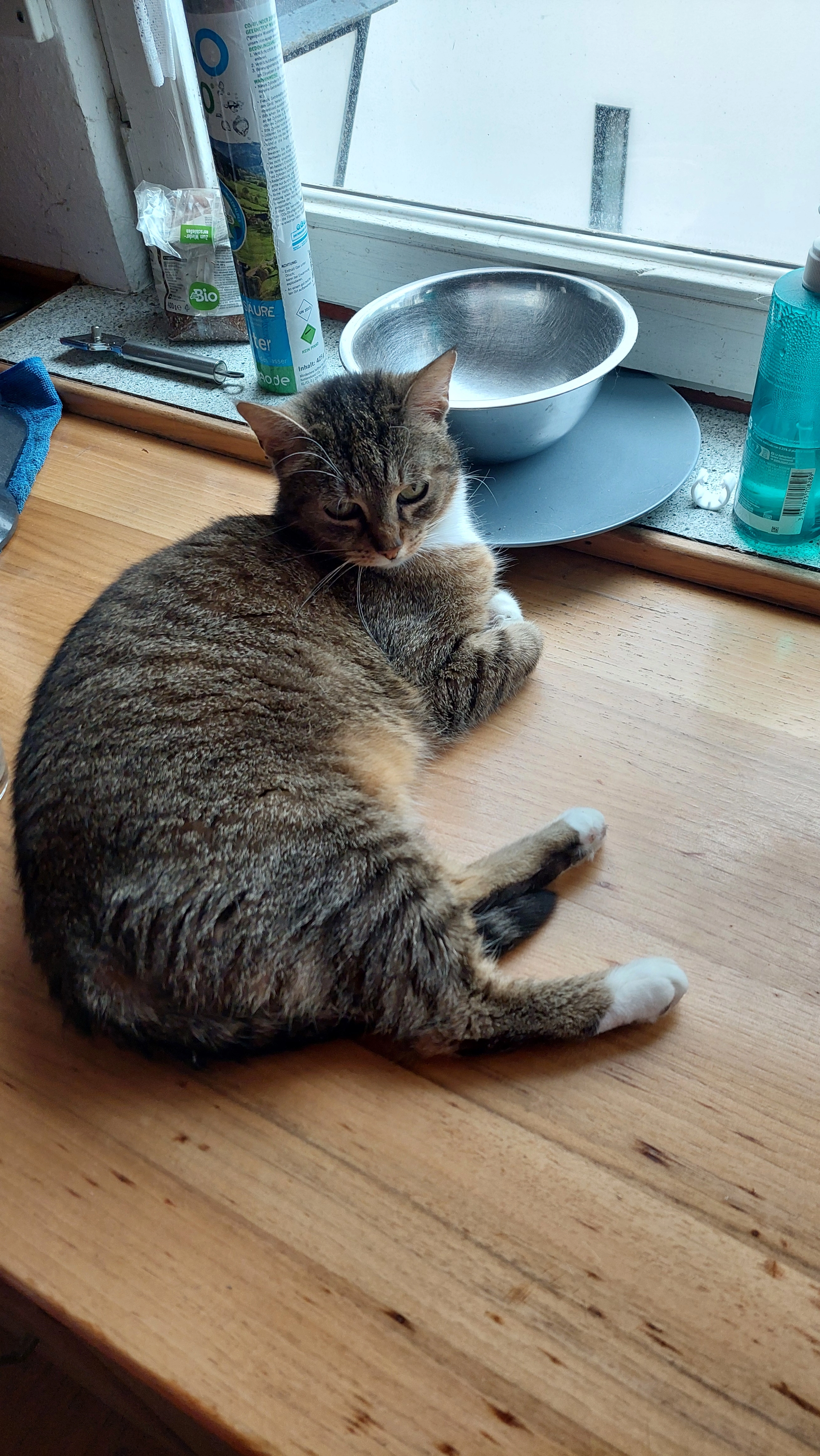 Mia - Alte Eisenbahnstraße, Haslach im Kinzigtal